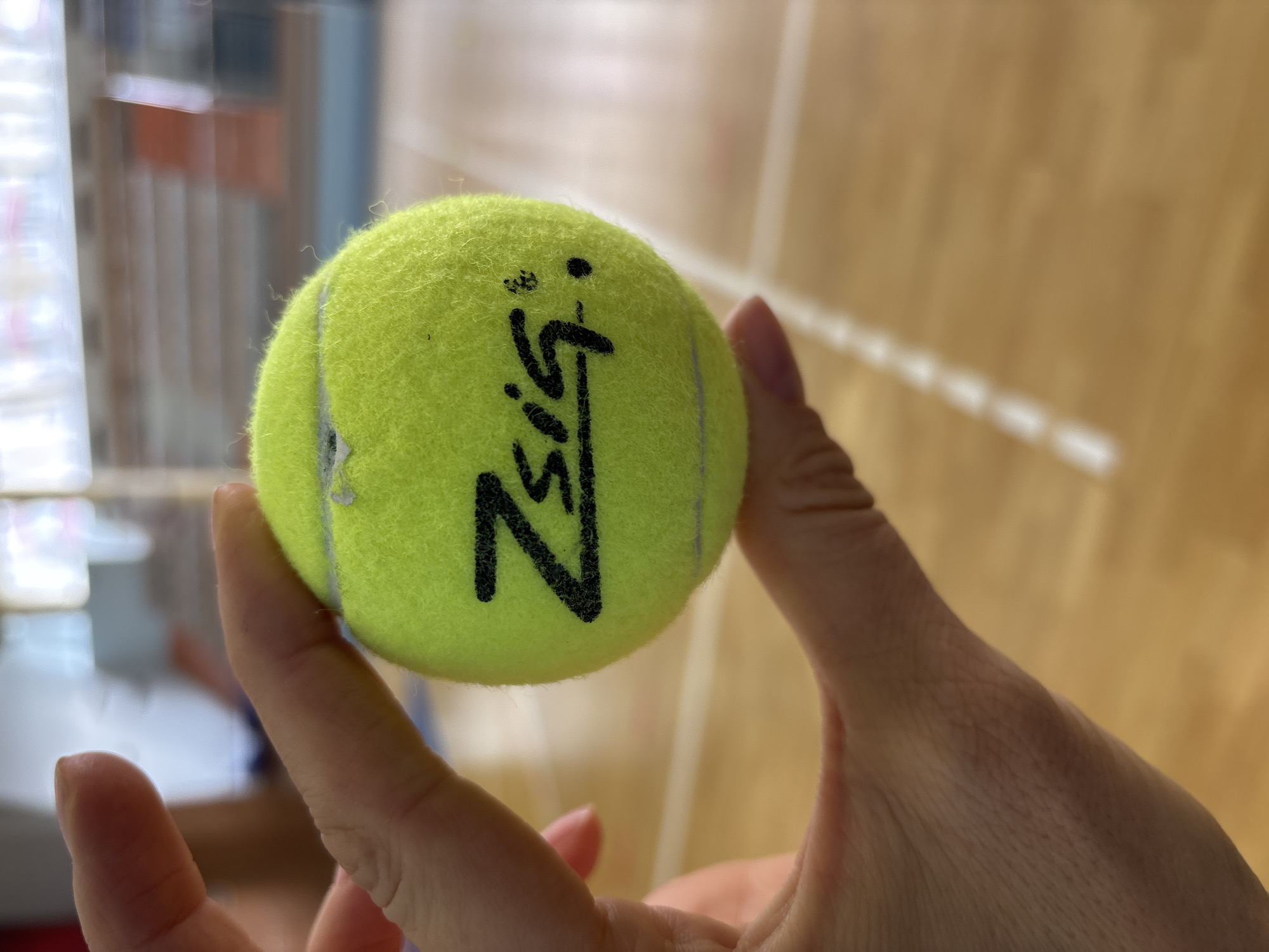 The image displays a close-up view of a human hand holding a neon yellow tennis ball. The hand, likely an adult's, gently cradles the ball with the thumb and fingers. The tennis ball features prominent black lettering "NSiG" written on its surface, along with some smaller, less discernible markings that might be part of a logo or additional text. The ball's fuzzy texture is clearly visible, suggesting it has been used.
The setting appears to be indoors, likely a sports facility or gymnasium in Chaikovsky, Russia. This is indicated by the blurred background, which shows a light-colored wooden floor, characteristic of sports courts. Soft, diffused lighting illuminates the scene, suggesting it is daytime. On the left side of the background, hints of a window or light source are visible, contributing to the bright indoor atmosphere. The focus is sharp on the hand and the tennis ball, with the background intentionally blurred to highlight the primary subjects. No specific activity beyond holding the ball is clearly depicted; it could be a moment before play or simply presenting the ball.