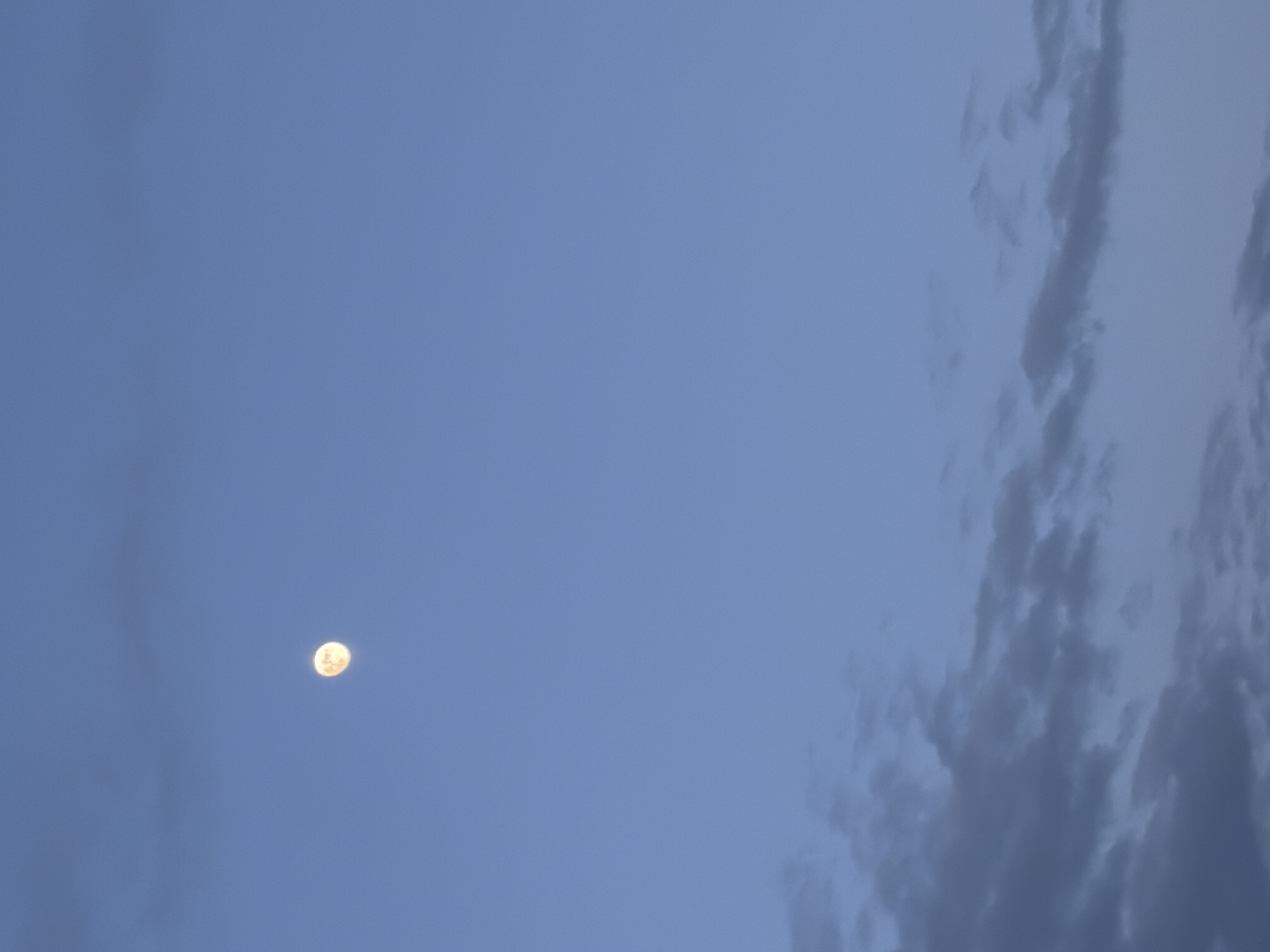 The original image, oriented vertically, captures a bright, full moon set against a deep blue sky. The moon, appearing as a distinct, luminous orb with a subtle yellow-white hue, is positioned in the lower-left portion of the frame. A significant band of light gray, somewhat broken clouds occupies the right side of the image, extending vertically. Faint, diffused clouds are also discernable near the left edge. The rich blue color of the sky suggests it is either dawn or dusk, a twilight period when the moon is visible before complete nightfall or after sunrise. The weather is partly cloudy. No people, other objects, or visible text are present in the serene, expansive scene, which focuses entirely on the celestial elements.