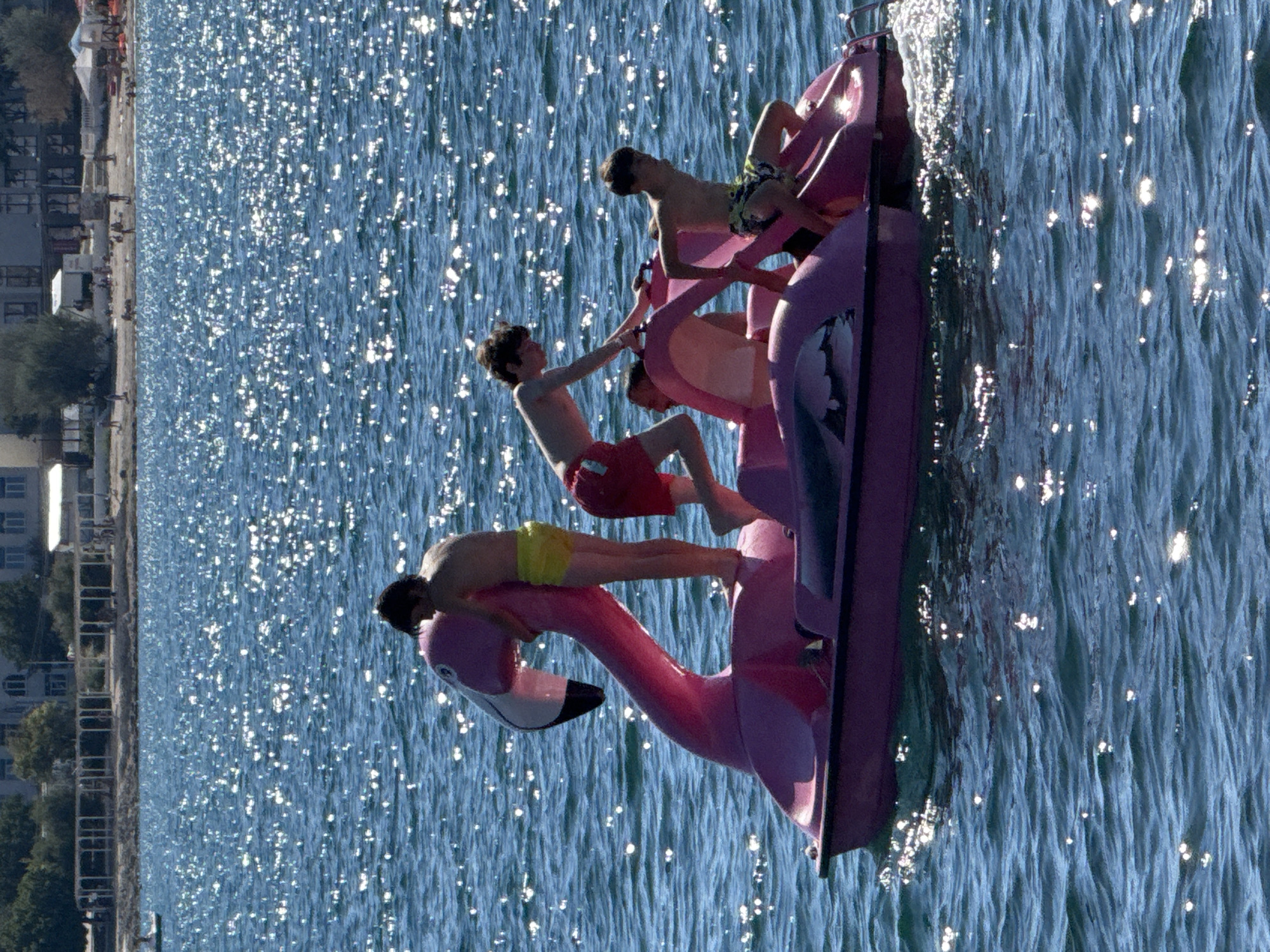 Four young males are on a pink flamingo-shaped paddleboat on a body of water. The paddleboat has two pedals visible. Two of the males are standing and two are sitting or crouching. One standing male wears yellow shorts and is leaning against the flamingo's neck. Another standing male wears red shorts and is reaching towards the flamingo's neck. A male sitting in the boat wears patterned shorts. Another male is crouched at the front of the boat. The water is choppy and reflects the sunlight. In the background, a shoreline with buildings and trees is visible. The image appears to have been taken from a slightly elevated perspective, looking down onto the water. The location is not discernible from the image itself.