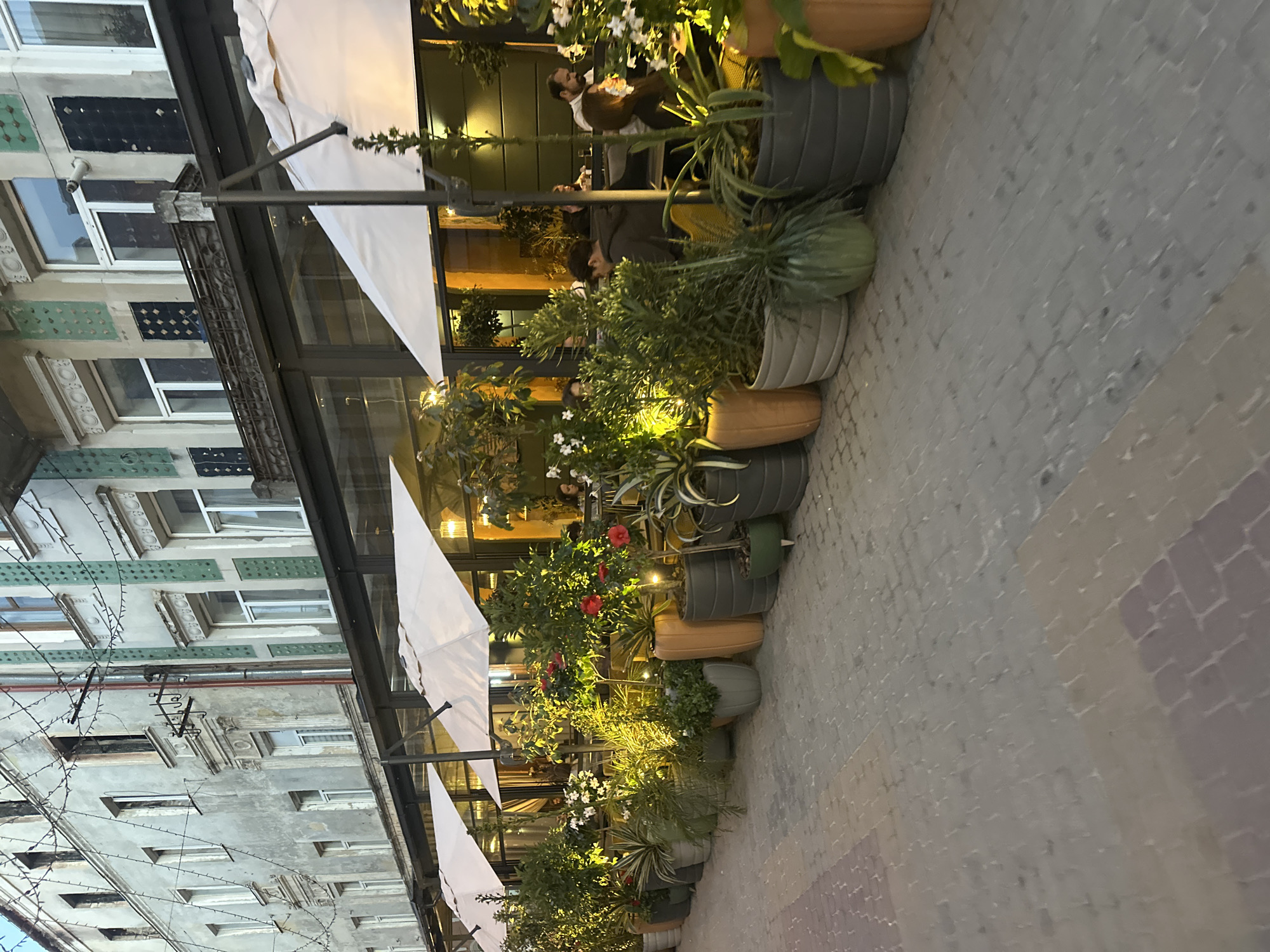This detailed description pertains to a street scene in the city of Ternopil, Ukraine.
The image captures an outdoor dining area of a commercial establishment, likely a restaurant or cafe, situated along a paved sidewalk. The foreground consists of interlocking paving stones in various shades of gray, brown, and reddish hues. A continuous line of large, diverse potted plants, including flowering varieties (some with red hibiscus-like blooms, others with small white flowers) and various green foliage, borders the sidewalk and separates it from the outdoor seating. Small, warm-toned spotlights are strategically placed within these planters, illuminating the vegetation.
Above the planters, a series of large, white, rectangular patio umbrellas extends over the outdoor tables and chairs. Underneath these umbrellas and behind the planters, multiple individuals are seated at tables. Approximately 8 to 12 people are discernible, engaged in activities such as dining and conversation. Their attire appears casual. Warm, artificial lighting emanates from the restaurant's interior, visible through its glass facade, and from under the umbrellas, indicating late afternoon or early evening.
The background features multi-story buildings. The leftmost building displays a weathered, light-colored facade with visible damage, including exposed window openings suggesting absent or destroyed windows. String lights or cables are strung across this upper section. The adjacent building to the right exhibits a more ornate, light-colored facade featuring decorative vertical panels in green and dark blue/black patterns between its windows. A decorative metal railing is present on the second story. The overall architecture suggests an older European urban environment.