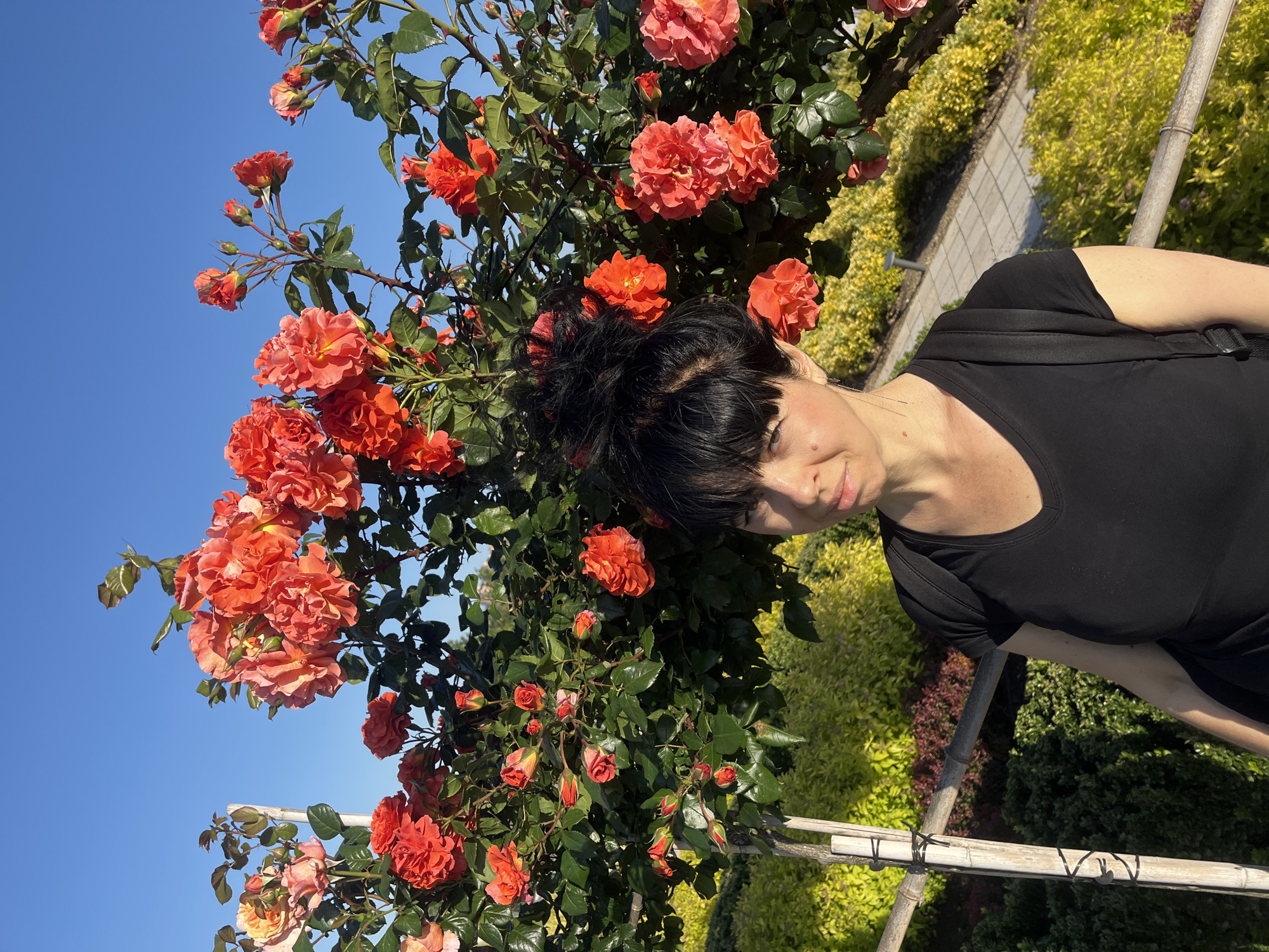 The image shows a woman with short, dark hair standing in front of a rose bush with orange flowers. She is wearing a black t-shirt and appears to be in a park or garden. The sky is blue and clear.
While it is not possible to confirm the exact location in the city of Krasnodar, Russia based on the image alone, the presence of the rose bush and the style of the park or garden could indicate a public park or garden space within the city. Without further information, it is impossible to specify a more precise location.