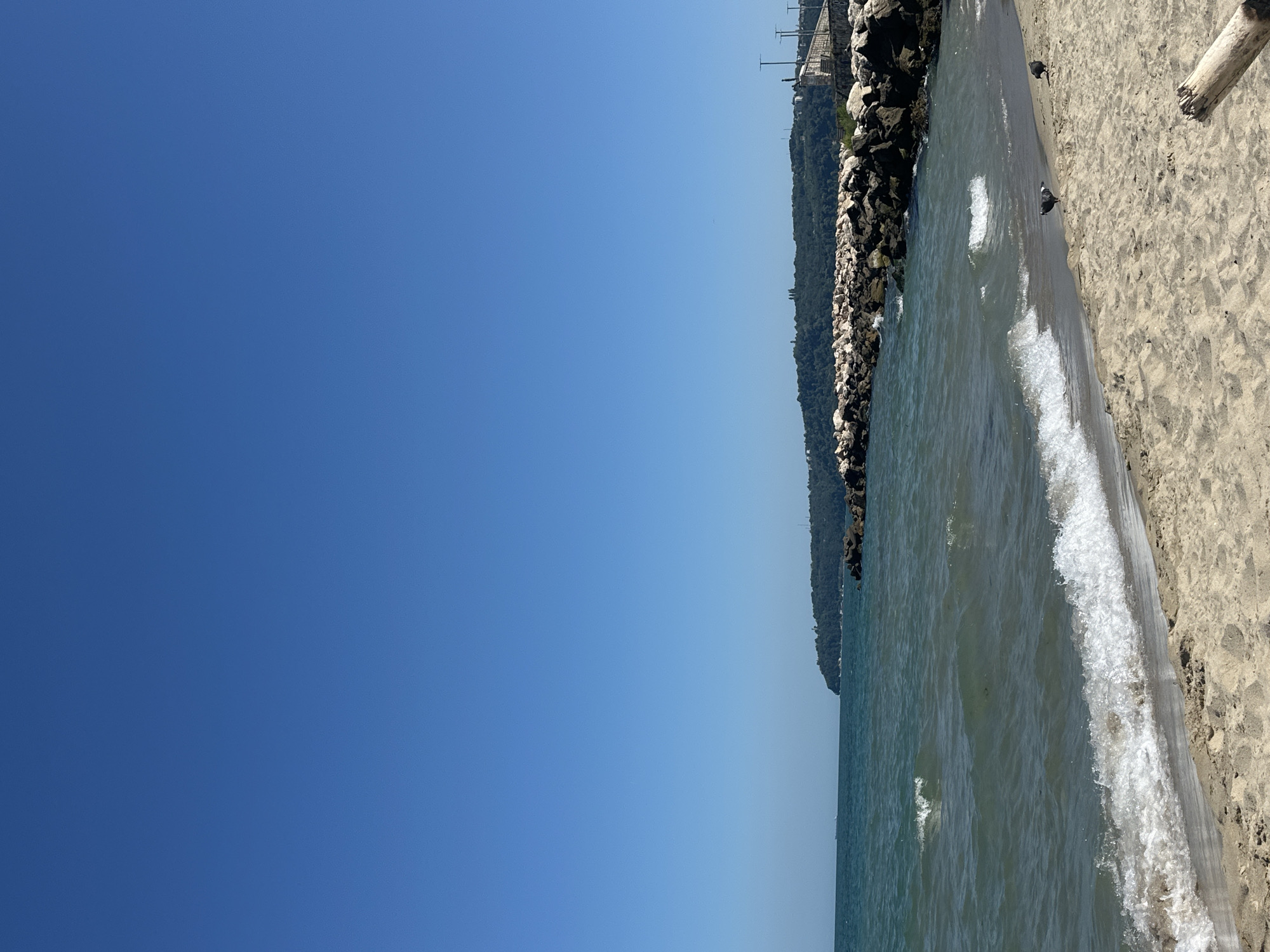 The image depicts a sunny day at a beach in Varna, Bulgaria. The foreground is dominated by a sandy beach with a weathered piece of driftwood. Gentle waves are breaking on the shore, with white foam dissipating on the wet sand. In the middle ground, the dark blue sea stretches out towards a rocky breakwater that juts into the water. The breakwater is constructed of large, dark rocks and is topped with a paved walkway. Beyond the breakwater, a green, tree-covered hillside rises, with buildings visible on its upper slopes and in the distance. The sky above is a clear, bright blue. Two pigeons are present on the sand near the water's edge.