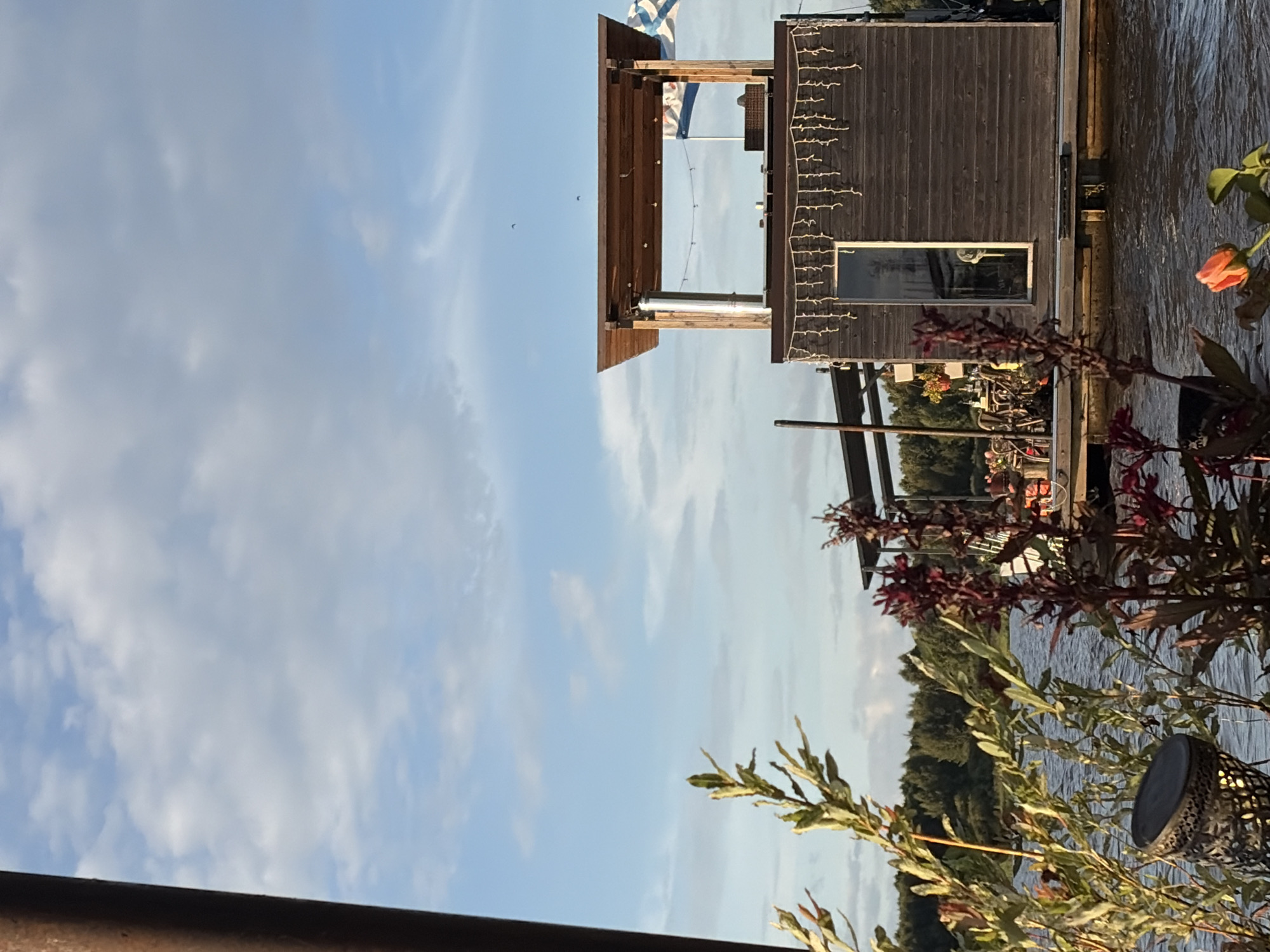 The image captures a waterfront scene in Vidogoshchi, Russia, on a day with a partly cloudy sky. In the foreground, lush green and reddish-purple foliage with some orange flowers are visible, with a dark, patterned lantern-like object on the left. The middle ground features a wooden structure, possibly a floating cafe or restaurant, situated on a body of water. This structure has a wooden roof supported by posts, with a chimney and decorative string lights along the lower part of its dark wooden facade. A tall, thin flag with blue and white stripes is seen flying to the right of the structure. Behind the structure, a dense line of trees forms the background, separating the water from the sky. The water itself is calm, with gentle ripples. The overall atmosphere is serene and hints at a recreational or leisure setting.