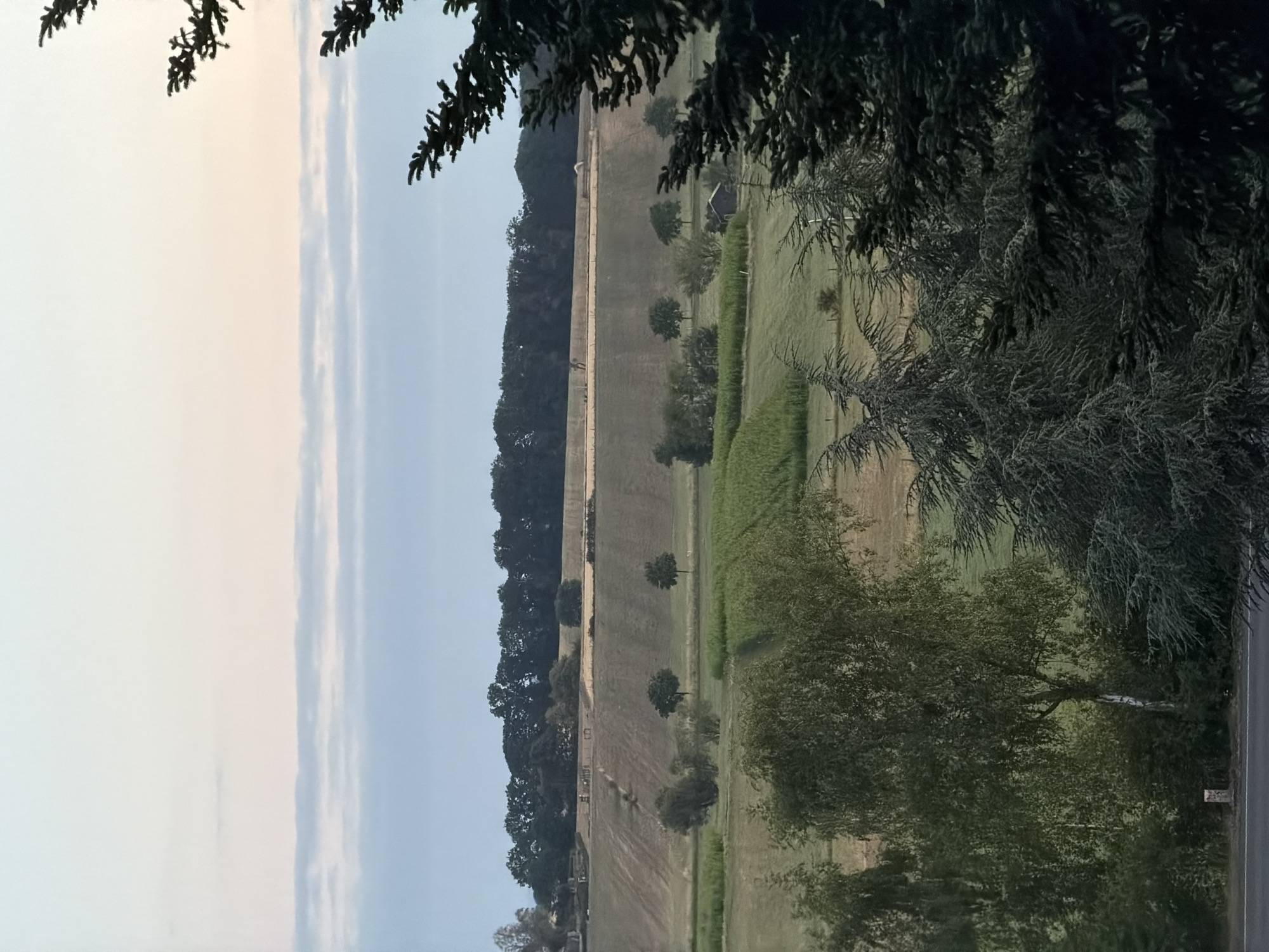 A high-angle, full shot captures a serene rural landscape at dusk in Leudelange, Luxembourg. The sky, a soft gradient of pale pink and blue, fades into the horizon, with thin bands of clouds adding texture. In the foreground, dark green coniferous trees, their needles sharply defined, frame the view on the right and lower left. Beyond them, a gentle slope is covered in agricultural fields, some with crops of varying shades of green and golden brown. Several scattered trees dot the mid-ground. Further in the distance, a dense line of dark green trees forms a treeline against the lighter sky. A small, dark, rectangular structure, possibly a shed or barn, is visible in the middle distance. The overall impression is one of peaceful, agricultural countryside under a fading sky.