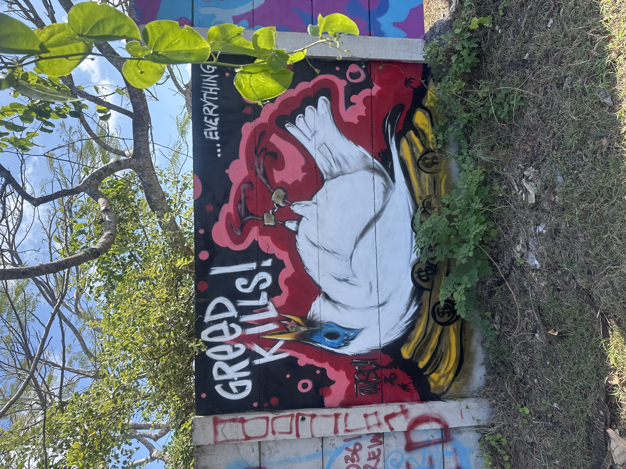 The image shows a concrete wall with graffiti art. The main graffiti depicts a white bird lying on its back on a pile of gold coins, with its wings spread upwards and its legs bound. The bird has a blue eye and a yellow beak. The background of the graffiti is black with pink splatters and red clouds. Text on the wall reads "Greed Kills!" in large white letters, and "...EVERYTHING" in smaller white letters to the right. To the left of the main graffiti, there is other graffiti in red and blue spray paint on the concrete wall, including the numbers "0361" and the word "REW". Green vines with large leaves hang down from a tree branch, partially obscuring the graffiti on the right side of the wall. The ground in front of the wall is covered in dry grass, weeds, and some litter. In the background, there are tree branches and a blue sky with scattered clouds. This graffiti is located on a concrete wall along a road in Kuta Selatan, Indonesia.