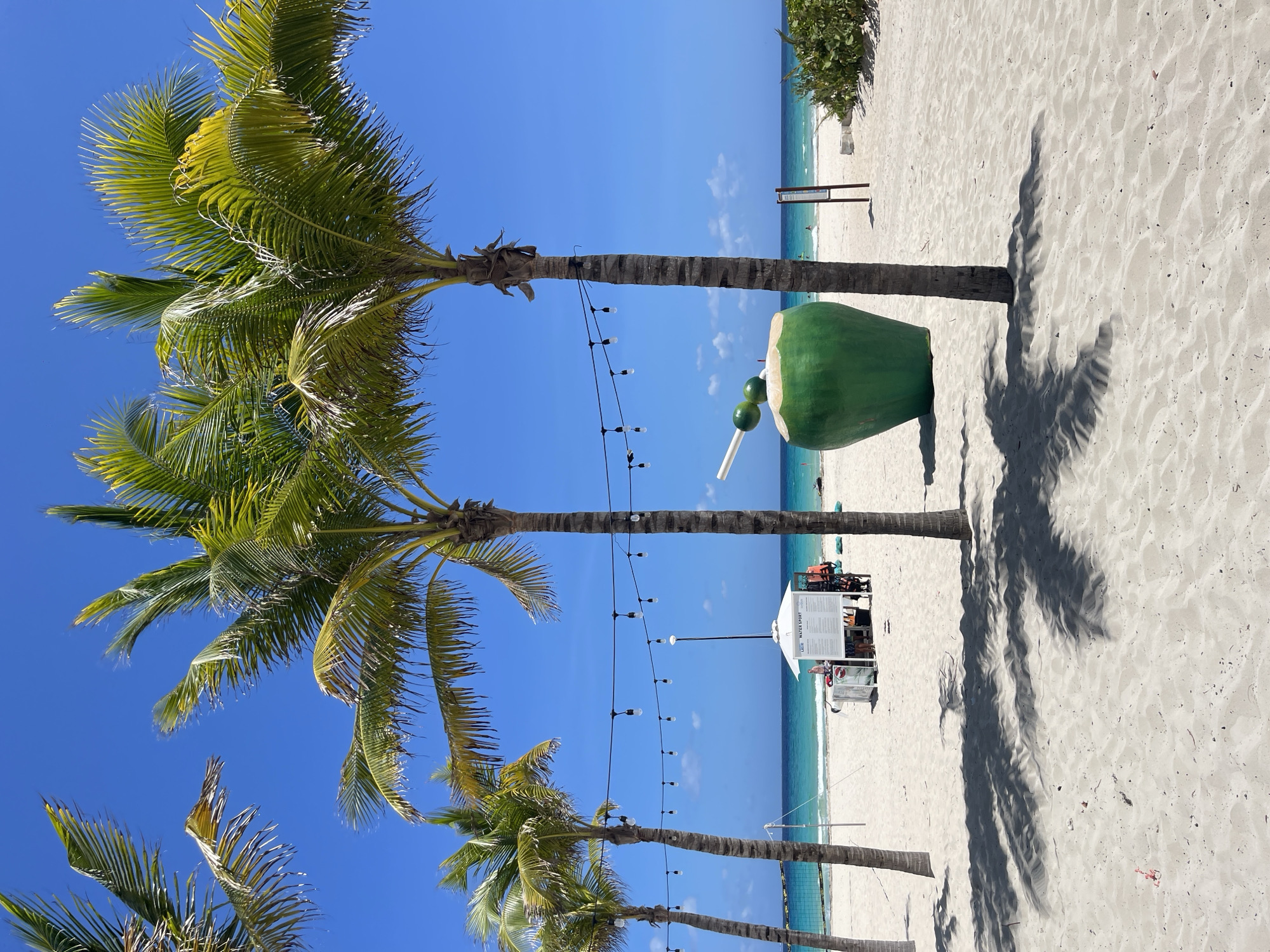 The image captures a tropical scene at Playa del Carmen, Mexico, showcasing the beach. In the foreground, several palm trees ascend, casting shadows onto the white sand. String lights are strung between the palm trees. A green, oversized coconut replica with decorative fruits and a white stick is located next to a palm tree. The turquoise ocean meets the sandy beach in the midground. In the background, the horizon is visible under a clear, blue sky. A water sports station with people and equipment is present on the beach.