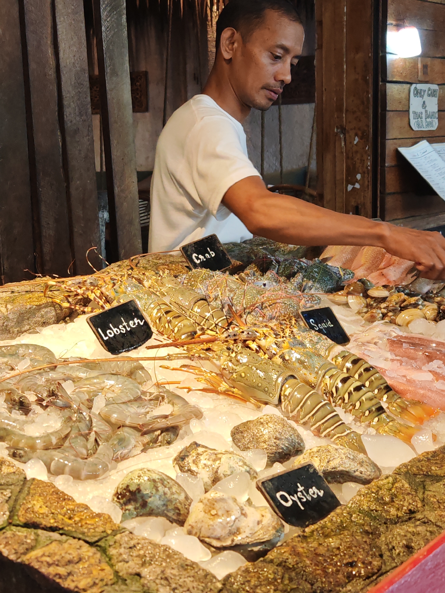 In Baan Bo Phut, Thailand, a vendor stands behind a seafood display on ice. The vendor, a man with short dark hair, wears a white t-shirt. He is positioned to the right of the frame, with his right arm extended, reaching towards the seafood. The display features various marine life including lobsters, shrimp, crabs, squid, oysters, and clams. Small black signs with white lettering label some of the items: "Lobster," "Crab," "Squid," and "Oyster." Behind the vendor, a wooden wall is visible, with a sign that reads "Only Cash & Thai Baht (QR Code)." The overall environment suggests a market or restaurant setting with a rustic, natural aesthetic.