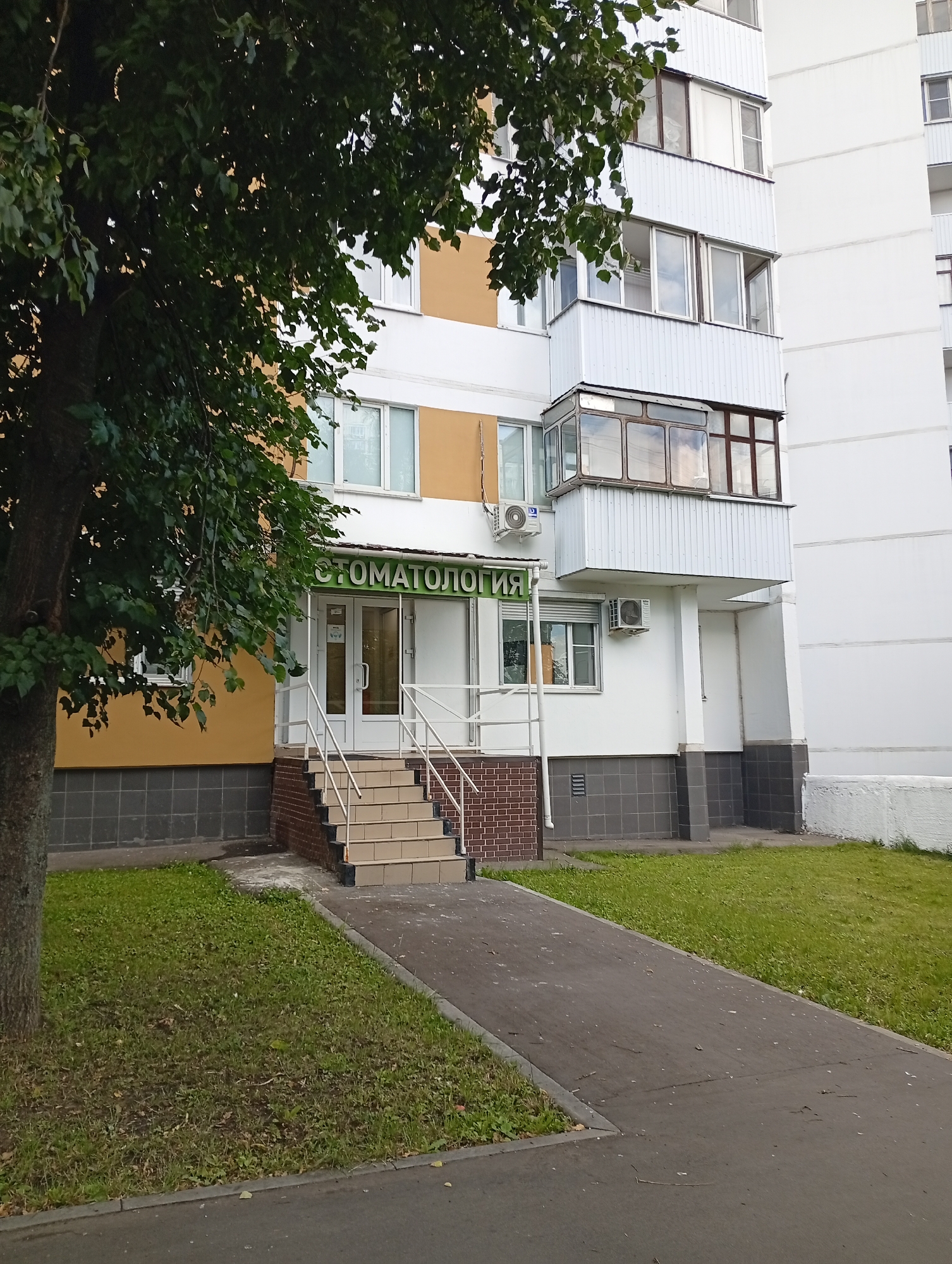 A medium shot captures the entrance to a dental clinic on the ground floor of a multi-story apartment building. The clinic's sign, with the word "СТОМАТОЛОГИЯ" (Dentistry) in green lettering against a white background, is prominently displayed above the entrance. The entrance itself features a set of light-colored double doors with glass panes and is accessed by a short flight of stairs with white railings. The building's facade is a mix of yellow and white, with windows and balconies visible on the upper floors. A large tree with green foliage partially obscures the left side of the building and the entrance. A paved walkway leads diagonally across the frame in front of the building, and a patch of green grass borders the walkway and the building's foundation. The scene appears to be in an urban setting, with the building likely located in the city of Unknown, Unknown. No people are visible in the image.