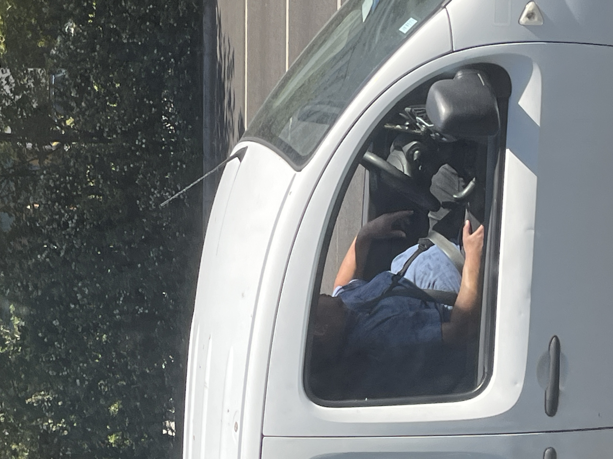 A person wearing a blue shirt and light-colored pants is seated in the driver's seat of a white van, with their left arm resting on the steering wheel. A seatbelt is visible across their torso. The van's interior, including the steering wheel and dashboard, is visible through the open driver's side window. Outside the van, dense green foliage forms a backdrop, and a road with white lane markings is visible in the distance. The scene appears to be captured during daylight.