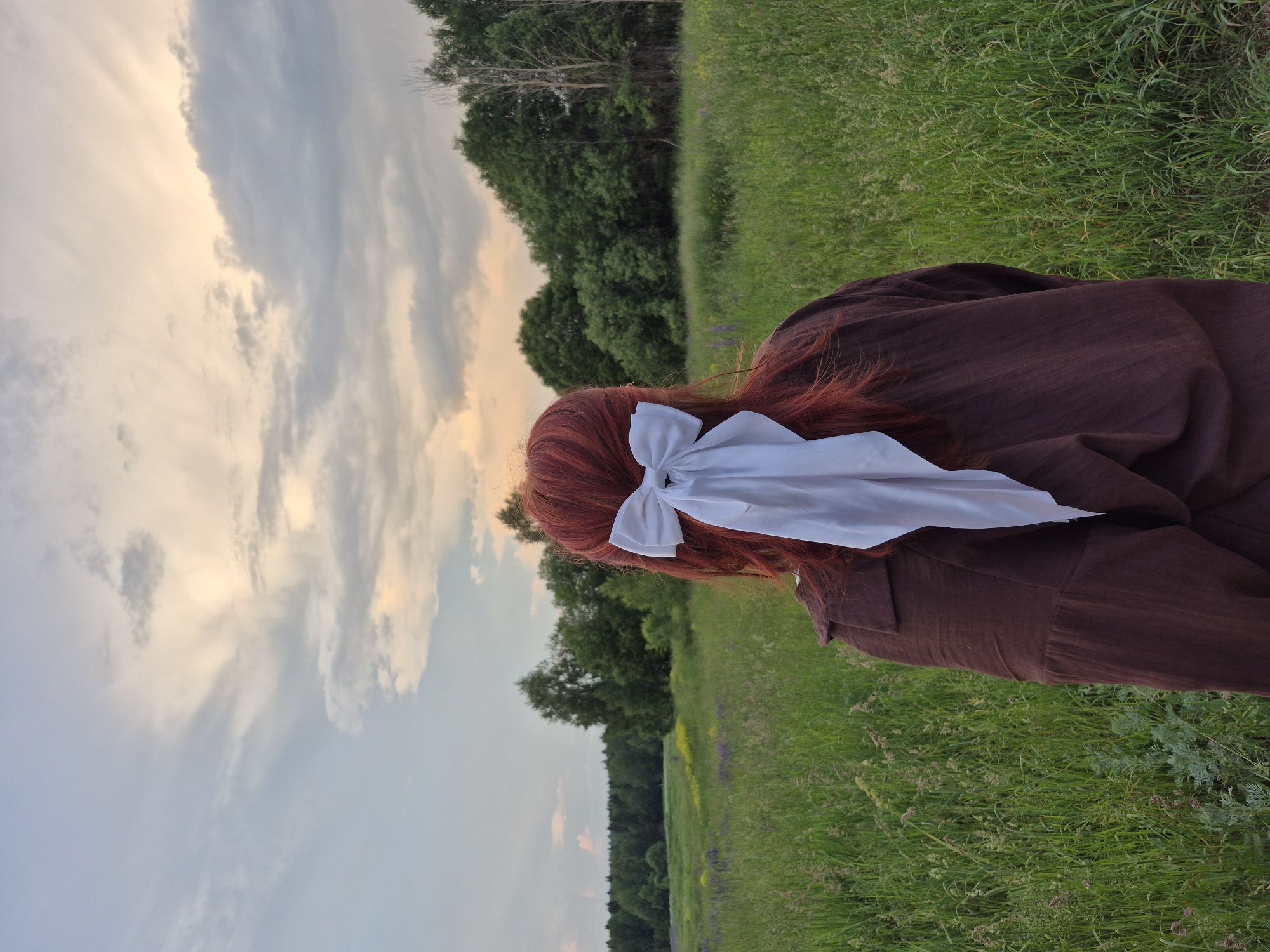 An overhead, slightly angled, full-body shot captures the back of a person with long, auburn hair tied back with a large, white bow, standing in a field of tall green grass. The person wears a dark brown, collared blouse with billowy sleeves. The field is dotted with small purple and yellow flowers and extends towards a line of dense green trees in the background. Above the trees, the sky is a pale blue transitioning to yellow and orange hues, with scattered clouds. The scene appears to be an outdoor, natural setting, likely a meadow or countryside, possibly in Doinaya, Russia, given the presence of trees and wildflowers.
