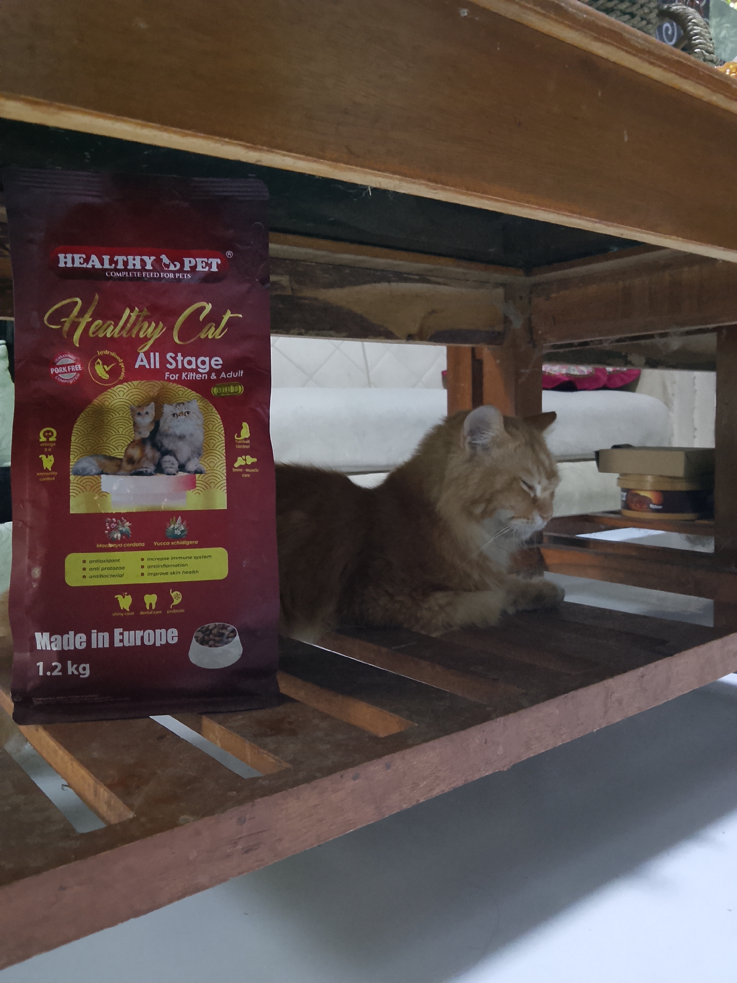 The image shows a bag of "Healthy Cat All Stage For Kitten & Adult" cat food, produced in Europe and weighing 1.2 kg. The bag is partially covered by a wooden structure that resembles the underside of a table or shelf. Next to the bag, an orange cat is sleeping, curled up on the wooden surface. The background is blurred, suggesting an indoor setting. The presence of a cat and cat food implies a domestic environment. The image does not contain any specific visual cues that would allow for definitive identification of the location within Cirebon, Indonesia.