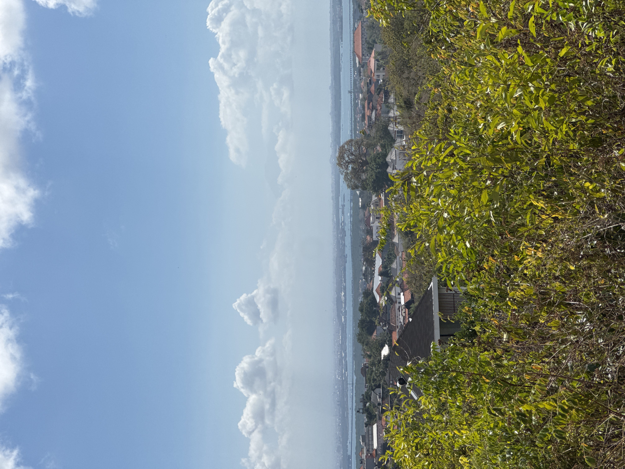The image is a vertical, full-shot photograph captured from a high vantage point overlooking a coastal city. In the foreground, dense green foliage with some dried branches obstructs the view. Beyond the foliage, a sprawling cityscape unfolds with numerous residential buildings featuring red-tiled roofs and white walls. A body of water, likely the sea, stretches across the middle ground, with a distant coastline visible on the horizon. The sky above is a clear blue, dotted with fluffy white clouds. The scene appears to be a panoramic view of Kuta Selatan, Indonesia, showcasing its urban development against a natural coastal backdrop. No people or specific actions are discernible in the image.