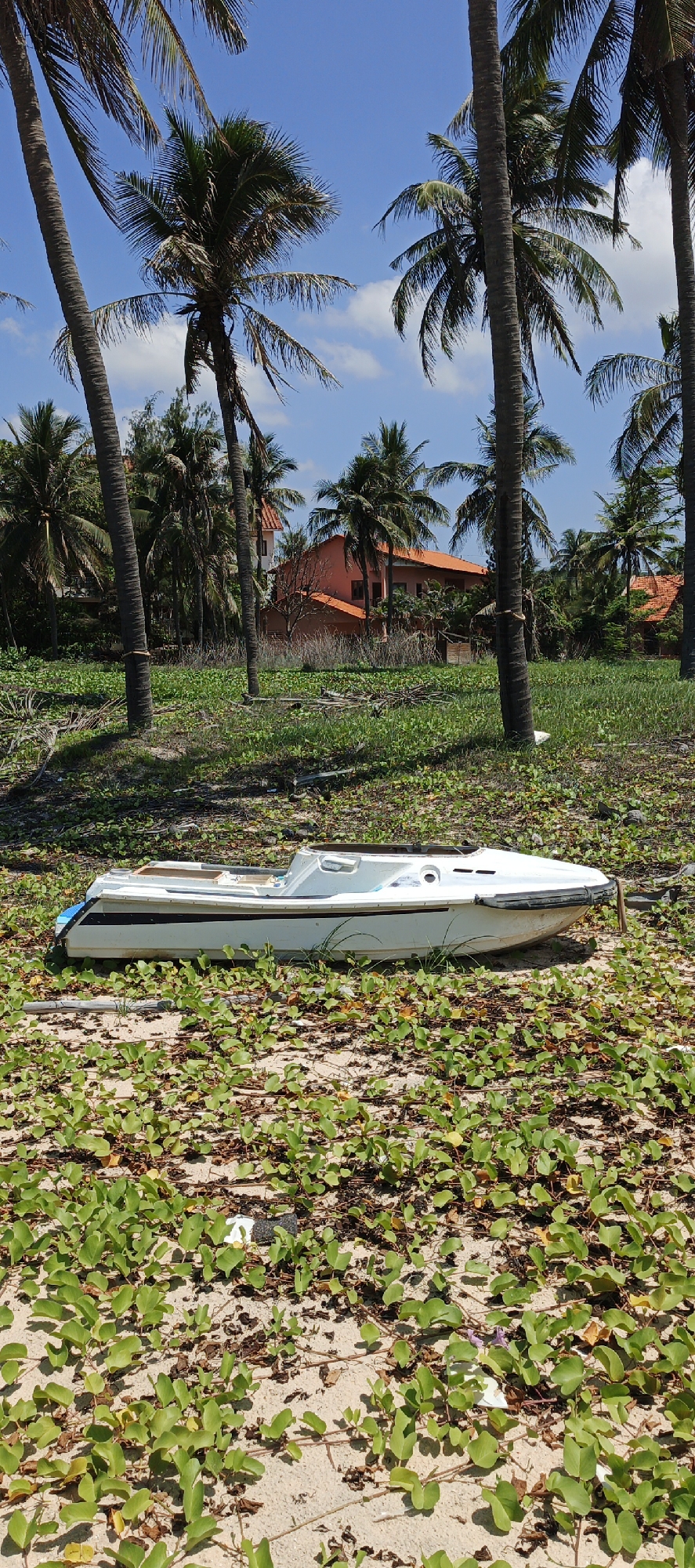 A white fiberglass boat is resting on a sandy beach covered in green vegetation. The boat is partially submerged in the sand and appears to be weathered. In the background, there are several tall palm trees and two buildings with orange roofs. The sky is blue with scattered clouds. The scene is set in Phu Thuy Ward, Vietnam. There are no people visible in the image.