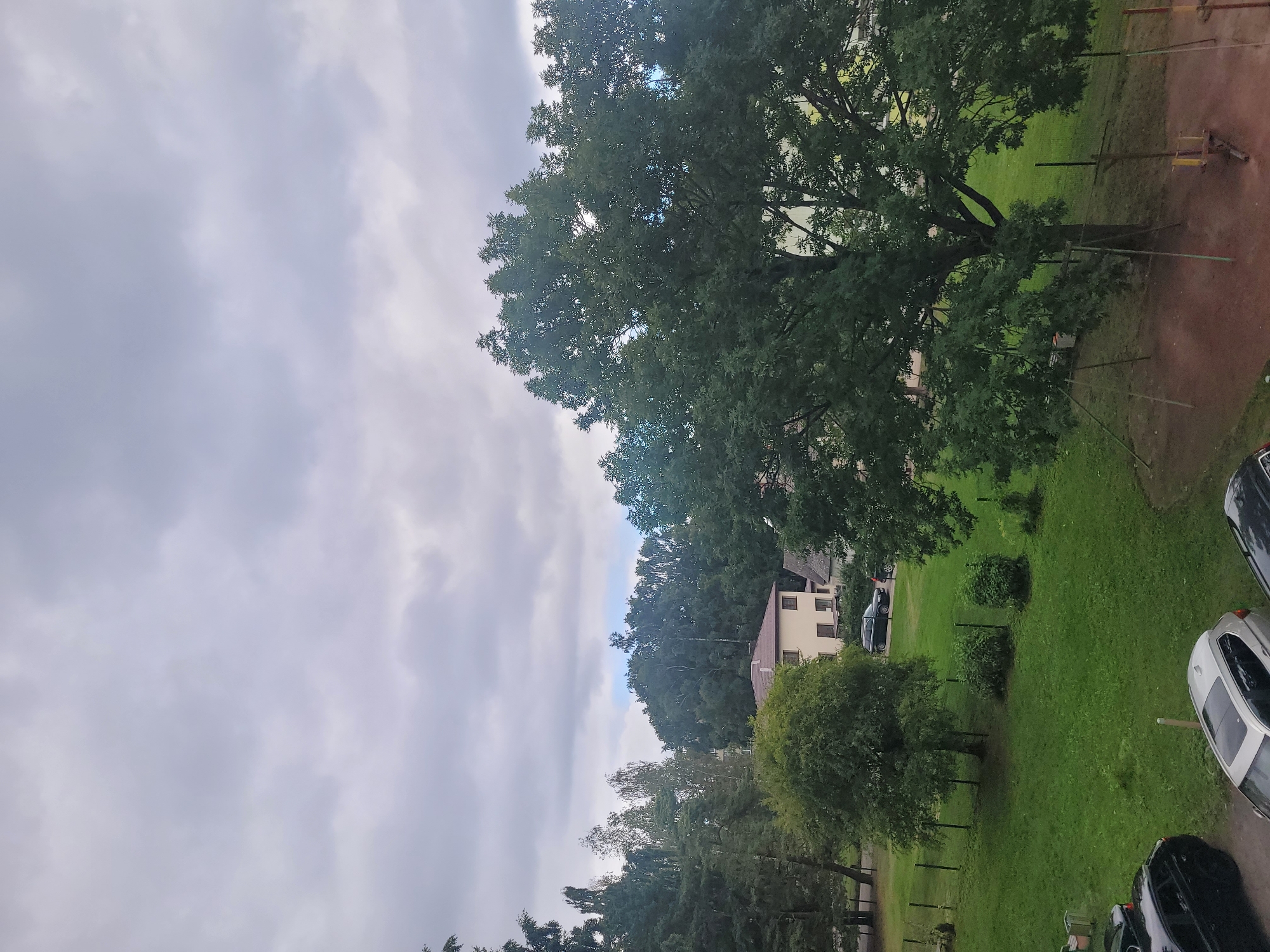 The image captures a view of a residential area in Jūrmala, Latvia, on a cloudy day. In the foreground, a large, mature tree with dense green foliage dominates the right side of the frame. Its branches extend across a significant portion of the image. Below the tree, a reddish-brown dirt ground is visible, with some metal poles and what appears to be part of a play structure.
To the left of the large tree and further back, a well-maintained green lawn occupies the mid-ground. Several trees of varying sizes are scattered across the lawn, including a smaller, rounded tree closer to the left edge. A dark-colored car is parked on the lawn near the trees. A light-colored sedan and another dark car are parked in the lower left corner of the image.
In the background, a light-colored building with a brown roof is visible, along with other smaller structures and a dense line of trees forming a backdrop. The sky is overcast with a layer of gray clouds, suggesting possibly a humid or rainy day. The overall scene depicts a peaceful, suburban environment with ample greenery and residential housing.