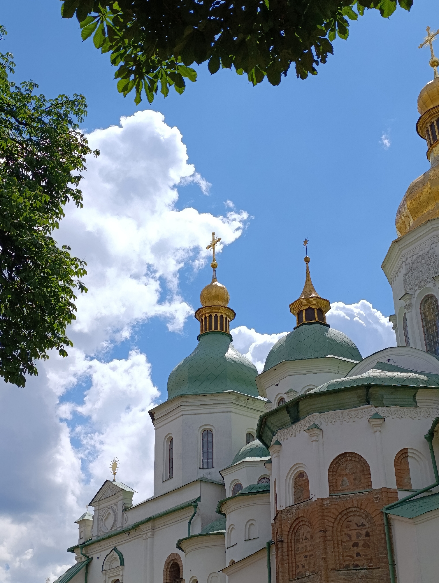 This is a vertical, eye-level shot of the Saint Sophia Cathedral in Kyiv, Ukraine, on a bright, sunny day with scattered, fluffy white clouds against a vivid blue sky. The image is dominated by the architectural features of the cathedral, particularly its numerous green-domed roofs topped with golden crosses.
In the foreground and framing the top of the image are lush green leaves and branches from a tree, likely a chestnut tree given the shape of the leaves. The sunlight filters through the leaves, creating a dappled effect.
The cathedral itself is a striking white structure. Several distinct domes are visible, each with a golden cupola and a cross. One of the larger domes, on the right side of the frame, is partially cut off by the edge of the image, revealing a section of its ornate white facade with arched windows. Another prominent dome in the center is smaller and has a golden spire topped with a star. To the left, a smaller dome is topped with a golden cross. The lower sections of the cathedral show white walls with arched windows and sections of reddish-brown brickwork with stone detailing.
The weather appears to be warm and clear, characteristic of a pleasant daytime. The scene evokes a sense of peace and grandeur, highlighting the beauty of the historic religious site under a beautiful sky. There is no visible text in the image.