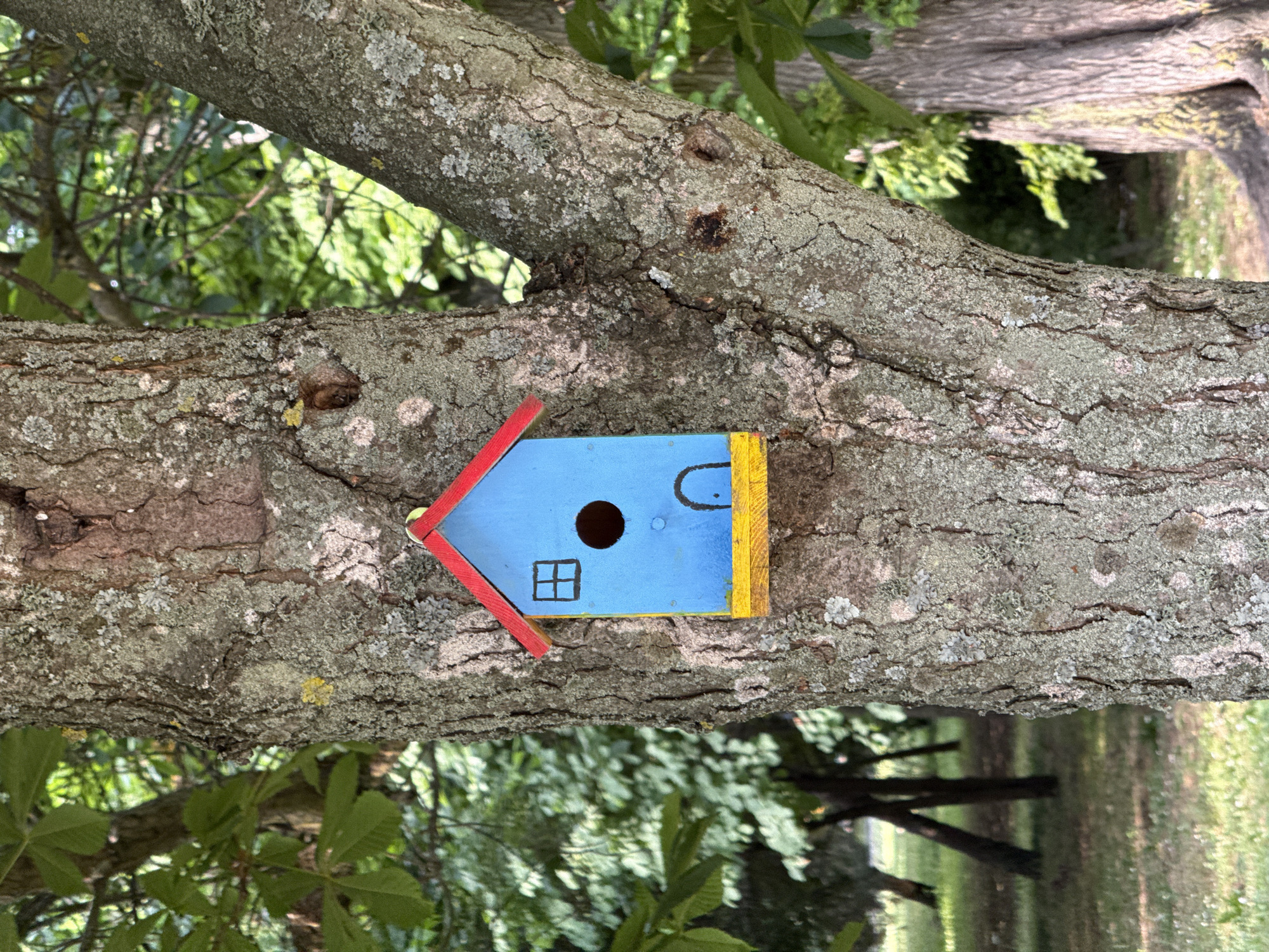 A blue, red, and yellow birdhouse is mounted on the textured bark of a large tree in a park setting. The birdhouse features a small, dark circular opening, a small square window, and a dark arched door shape. The tree is surrounded by lush green foliage and a grassy ground with some fallen leaves. The background is blurred, showing other trees and a glimpse of a paved path. The scene appears to be located in the Sea Garden in Burgas, Bulgaria, a popular urban park known for its trees, walking paths, and recreational areas. There are no people visible in the image.