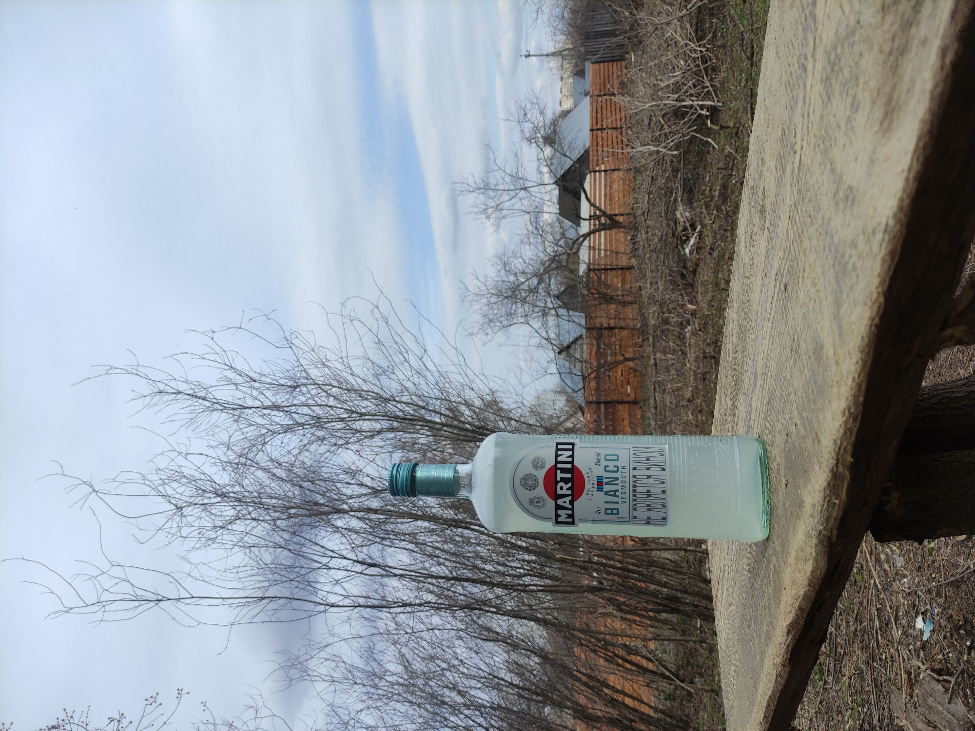 A bottle of Martini Bianco Vermouth is prominently displayed, standing upright on a weathered wooden surface, likely a bench or table. The bottle is made of clear glass containing a pale, translucent liquid and sealed with a teal cap. The label on the bottle is clearly visible, featuring the brand name "MARTINI" at the top in black letters, followed by "BIANCO" and "VERMOUTH". A circular red and white logo is present, and below it, Cyrillic text, including "НЕ ФИЛЬТРОВАННЫЙ" (unfiltered), can be deciphered.
The setting is an outdoor, somewhat rustic environment. In the background, numerous bare trees and bushes dominate the mid-ground, suggesting a season of dormancy such as late autumn, winter, or early spring. The sky above is largely cloudy, with lighter, possibly blue, areas peeking through the overcast conditions. Further in the background, behind the dense network of tree branches, hints of structures resembling houses or sheds with brown fences or walls are discernible. The ground beneath the vegetation appears to be dry and covered with leaf litter or sparse dry grass. The time of day is daylight, characterized by diffused light rather than direct sunlight, consistent with the cloudy sky. No human activity or individuals are present in the image.