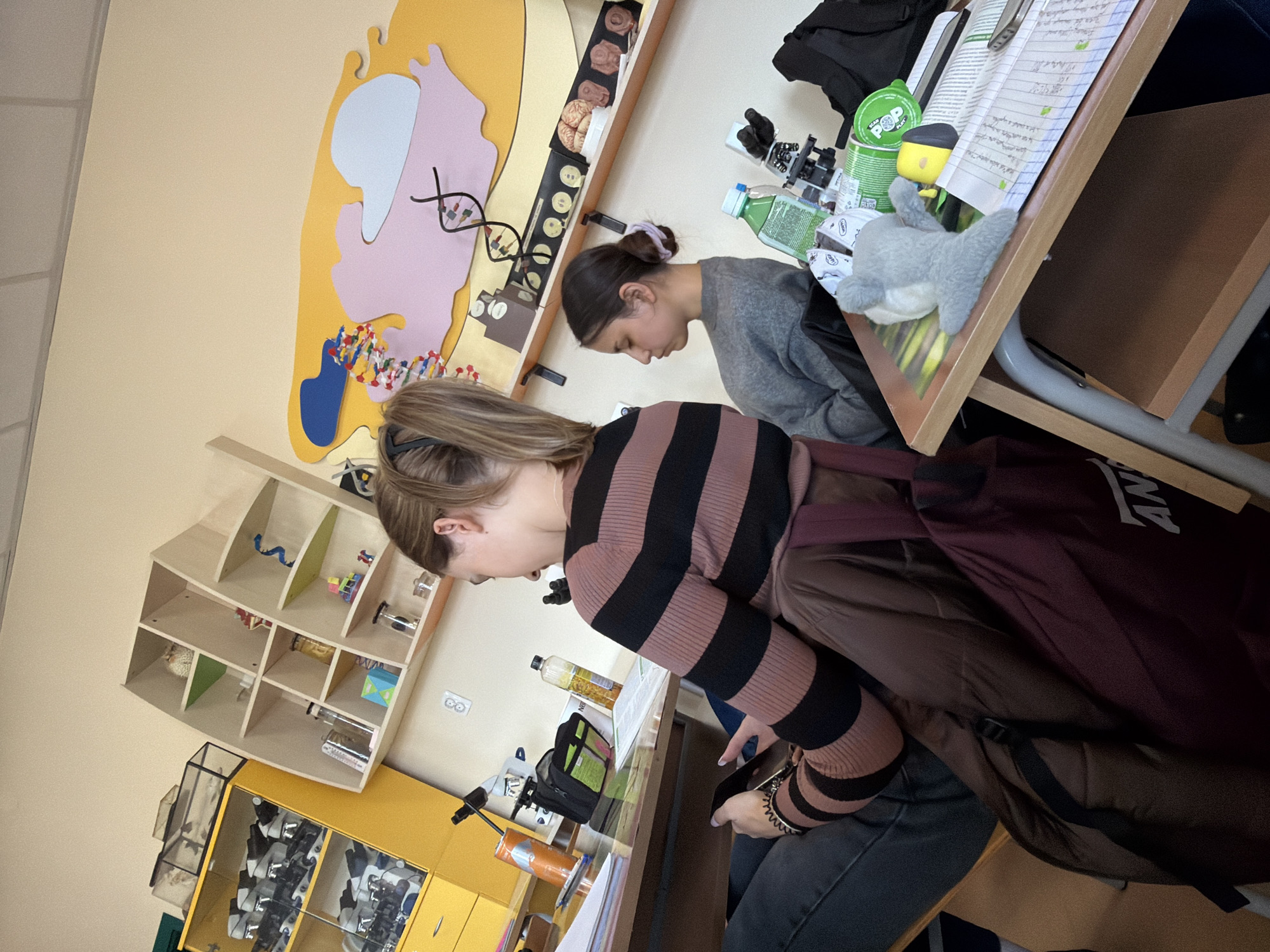 Two young women are seated at desks in what appears to be a science classroom or laboratory, likely in Panagyurishte, Bulgaria. The image is taken from a slightly elevated perspective, looking down into the room.
In the foreground, a young woman with light brown hair tied back is seated on the right, seen in profile. She is wearing a horizontally striped sweater with alternating light brown/pink and black bands. Her right hand appears to be holding a mobile phone, and she is looking down. A dark backpack, possibly maroon or dark brown with a white "VANS" logo, is partially visible hanging from her chair or placed next to her.
Behind her, another young woman with dark hair tied in a bun is seated at an adjacent desk, also in profile, looking downwards. She is wearing a grey long-sleeved top.
The room's walls are painted a light yellow, with large, colorful, abstract anatomical or cellular shapes in light blue, pink, and yellow on one wall, adorned with a black wire model of a DNA double helix. Below this, there's a wooden shelf displaying models resembling human brains and other scientific artifacts.
The desks are cluttered with various items, including open notebooks with handwritten notes, pens, a green lidded container with "SOP POP" visible, a yellow figurine, a small grey stuffed shark, a green bottle, and other personal belongings. A black bag is also on one desk.
To the left, a light wooden shelving unit filled with various objects like a Rubik's cube, glassware, and other educational materials is visible. Further left and lower, a yellow cabinet with glass doors displays what appear to be microscopes. The setting suggests an engaged learning or study environment.