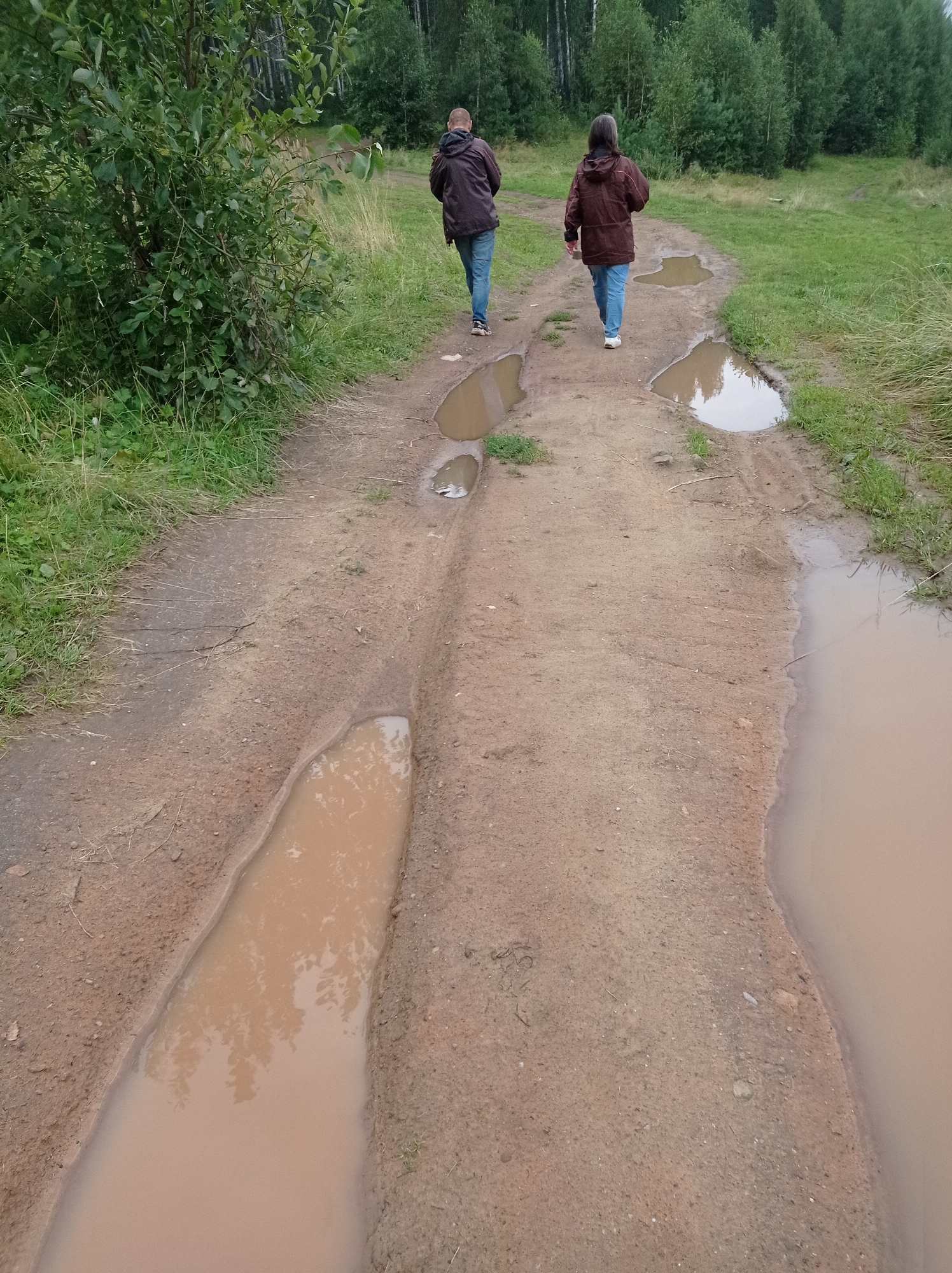 In Degtyarsk, Russia, a dirt path winds through a grassy area with trees in the background. Two individuals, one wearing a dark jacket and blue jeans, and the other a brown jacket and blue jeans, are walking away from the camera down the path. The path is dotted with several large puddles of muddy water, indicating recent rain. The environment suggests an outdoor, possibly rural or park-like setting, with vegetation and a natural landscape. The overall impression is a casual walk on a path that has become softened by rain.