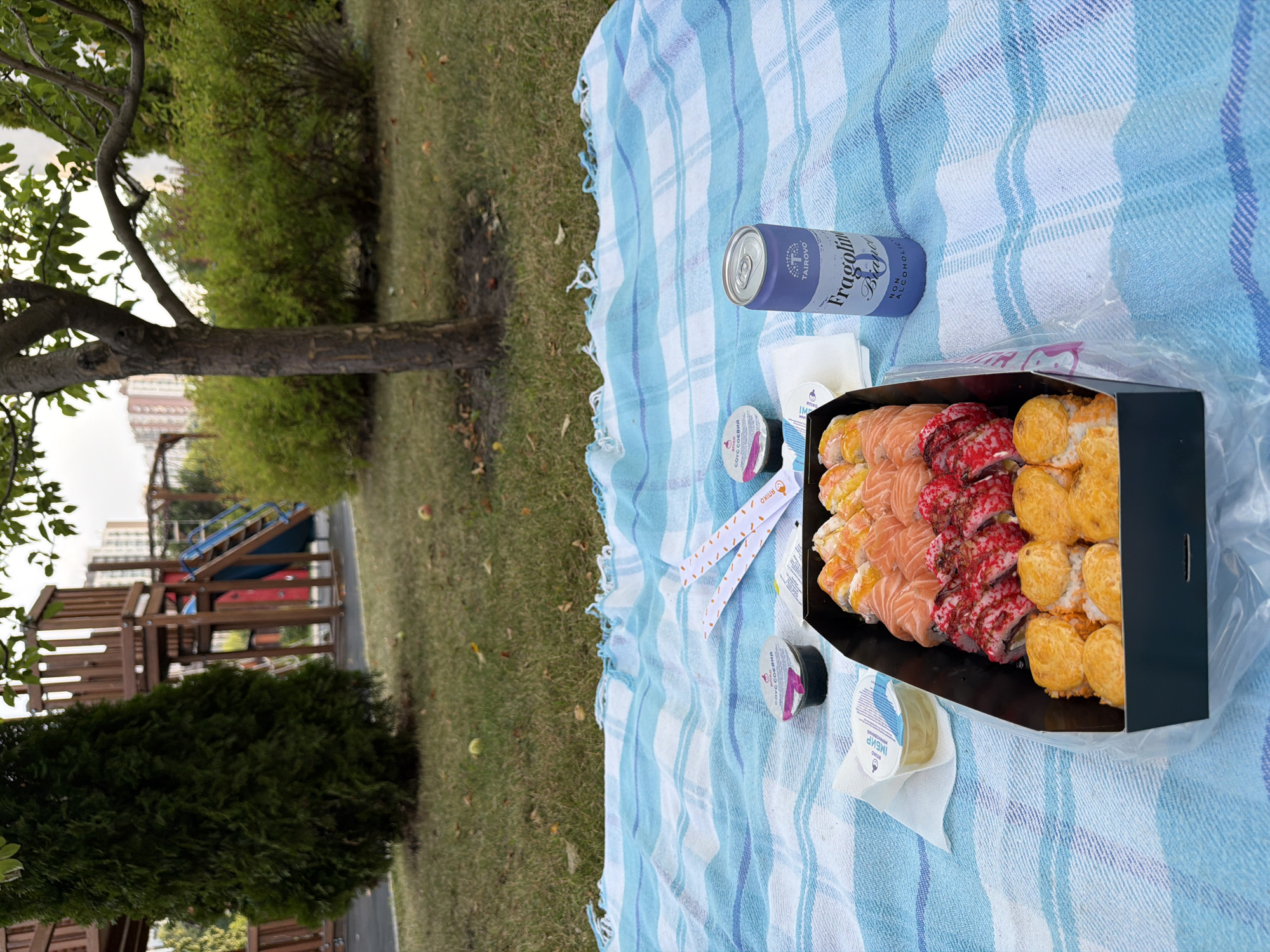 The image depicts a picnic scene on a blue and white striped blanket spread on a grassy area, likely in a park. In the foreground, a black container holds a variety of sushi rolls, a purple can of "Fragolino Bianco" non-alcoholic beverage, and small containers of soy sauce and pickled ginger. Two pairs of chopsticks rest on the blanket. In the background, a children's playground with wooden structures and slides is visible. A tall evergreen tree stands to the left, and a deciduous tree with a trunk marked with initials is to the right. Green bushes and apartment buildings can be seen in the distance, suggesting an urban park setting. The environment is outdoors with natural light, and fallen apples are scattered on the grass.