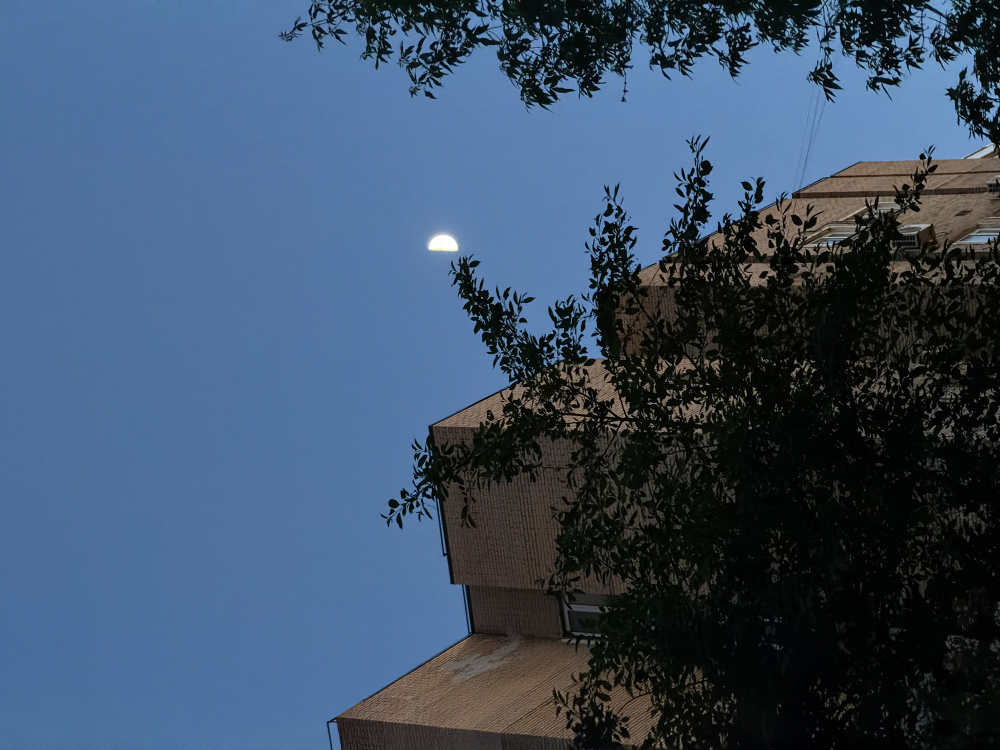 The image depicts a night scene in Moscow, Russia, featuring a half-moon in a blue sky framed by tree branches. A multi-tiered building with a brick-like facade is partially obscured by the foliage. The scene is predominantly illuminated by moonlight. No people or interactions are visible in the image.