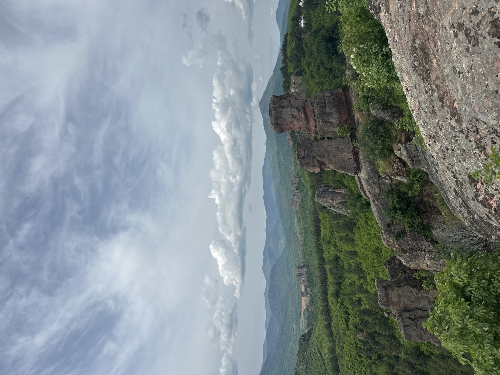 The image shows a landscape in Belogradchik, Bulgaria. The foreground features large, reddish-brown rock formations covered with greenery and some white flowers. Dense forest vegetation extends into the midground, gradually sloping down towards a valley. In the background, a series of mountains are visible under a cloudy sky. The sky is dominated by white and grey clouds.