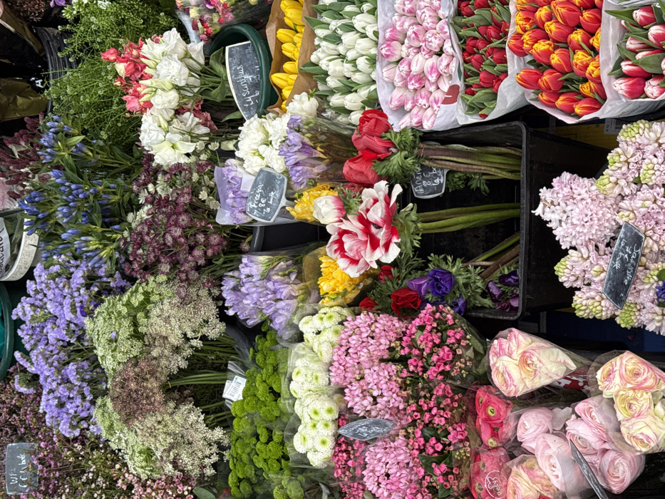 The image captures a vibrant and densely packed display of fresh flowers, likely at a flower market or a large florist's stall. The scene is filled with an abundance of colorful bouquets, arranged closely together in buckets or crates, suggesting a bountiful selection for sale.
From left to right and top to bottom, a diverse array of flowers is visible. In the upper left, there are bundles of delicate white and pale pink eustoma (Lisianthus) alongside lush green foliage and spiky blue-purple flowers, possibly gentian or similar. Below these are clusters of smaller, dark purplish-red flowers.
Moving towards the top middle and right, several bouquets of tulips are prominently displayed. There are bright yellow tulips, classic white tulips, variegated pink and white tulips, and striking red-orange tulips, all wrapped in paper or clear plastic.
In the mid-ground, beneath the tulips, are more varieties. Bundles of light purple freesia are visible, some with a price tag indicating "Freesia / 7,90€ / le botte" (7.90€ per bunch). Next to these are bright yellow and striking red and white striped anemones, as well as deep purple anemones. A label near the red anemones reads "Anemone / 8€". Small red roses or similar compact red flowers are also nestled among the anemones.
The lower half of the image features an even greater variety. On the left, there are sprays of lavender-blue and light purple statice, mixed with fluffy green and white umbrella-shaped florets, possibly Ammi majus or similar filler flowers. Adjacent to these are dense, vibrant green and white chrysanthemums with small, button-like blooms. Further right, there are large bunches of small, clustered pink flowers, likely Kalanchoe, with a label that appears to read "La Belle". Below these are soft pink ranunculus with their characteristic tightly layered petals, and bundles of creamy white or pale yellow ranunculus.
On the far right side of the image, bundles of light pink to lavender-colored hyacinths are visible, known for their dense, fragrant flower spikes. A chalky label next to them clearly states "Jacinthe", which is French for hyacinth.
The flowers are fresh and appear to be in excellent condition, with rich, vivid colors ranging from deep purples and reds to bright yellows, whites, and various shades of pink and green. The presentation suggests a well-organized retail setting, with different varieties grouped together and ready for purchase. The background is mostly obscured by the sheer volume of flowers and dark containers, focusing all attention on the colorful blooms. The lighting is even, suggesting an indoor setting or a cloudy day if outdoors, allowing the natural beauty of each flower to stand out.