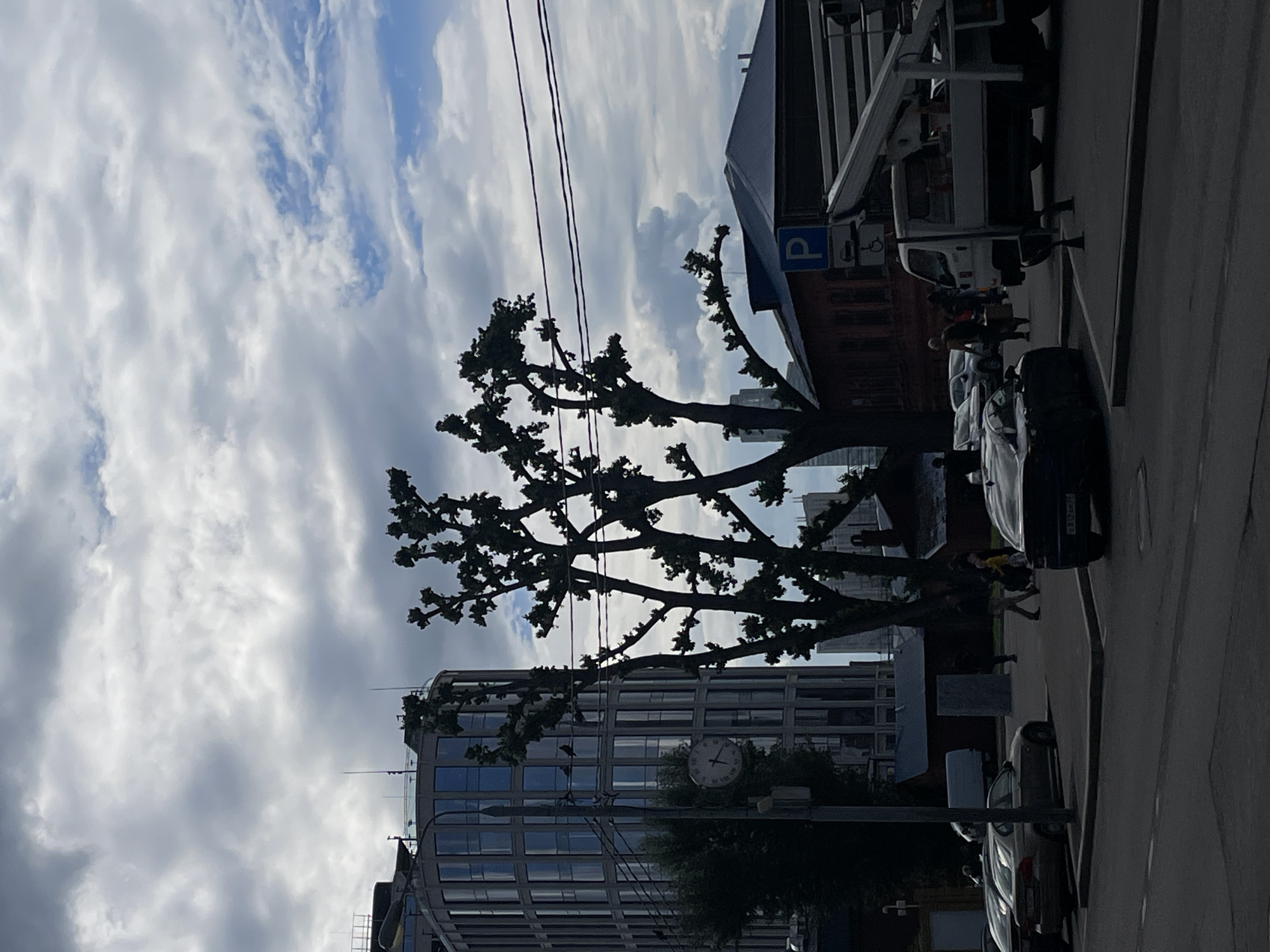 This is an eye-level, medium shot of a city street scene in Moscow, Russia, under a cloudy sky. In the background, a modern, multi-story building with a curved glass facade stands to the left, featuring horizontal window panes and balconies. To the right, a red brick building with a dark pitched roof is visible, with a blue parking sign and a pedestrian crossing sign mounted on a pole in front of it. A white utility truck with a hydraulic lift arm is parked to the right of the brick building, angled towards the viewer.
In the mid-ground, several silhouetted trees with stark, pruned branches dominate the center of the frame. A large analog clock face is mounted on a pole to the left of the trees, near the glass building. Several cars are parked and driving on the street, including a dark sedan in the foreground. A few people are walking in the mid-ground, some appearing to be pedestrians and others possibly workers. The overall atmosphere is somewhat muted due to the overcast conditions.
