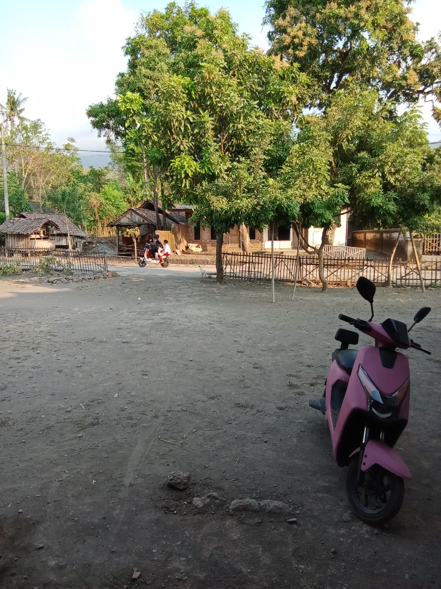 The image depicts an outdoor scene in a village setting, likely in Selowogo, Indonesia. In the foreground, a pink electric scooter is parked on a dirt ground. The ground is uneven, with scattered stones and debris. Behind the scooter, a wooden fence separates the immediate area from a more distant scene.
Further back, several traditional-looking houses with thatched roofs are visible. One house appears to be made of wood and bamboo. A dirt path or road runs in front of these houses. Two people are riding a white and red scooter down this path, heading away from the viewer. They are dressed casually.
To the left of the houses, a tall palm tree stands out against a backdrop of green foliage and a light blue sky. A large, leafy tree with some flowering branches dominates the middle ground, casting shadows on the scene. More trees and vegetation are visible in the distance, suggesting a rural environment with a lot of natural greenery. A white chicken is standing near the fence in the middle ground. The overall impression is one of a simple, everyday life in a village.