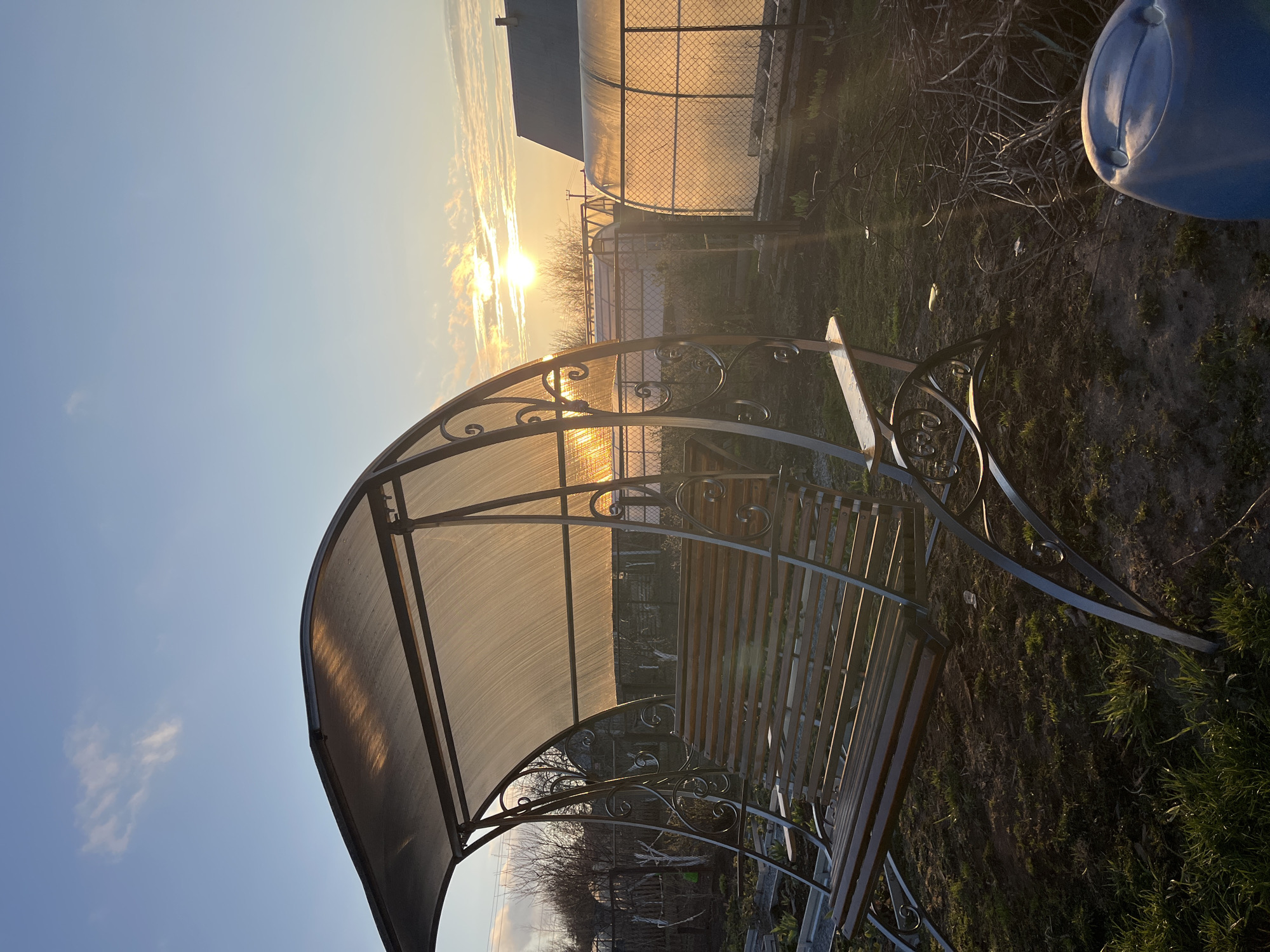 This image depicts an outdoor garden or backyard scene at either sunrise or sunset, indicated by the warm, golden light from the low sun positioned on the right side of the frame. The sky is a clear blue, with a few wispy clouds visible on the left.
The main subject is a decorative garden swing, prominently placed in the foreground. It features a sturdy metal frame with intricate scrollwork designs and wooden slatted seating. An arched, translucent canopy provides shade for the swing, illuminated by the sun's rays.
In the midground, behind the swing, stands a greenhouse structure. It has a translucent, possibly polycarbonate, arched roof and sides made of wire mesh or fencing. Behind the greenhouse, bare trees or bushes are visible, silhouetted against the bright horizon. The ground in the foreground consists of sparse green grass mixed with patches of dark soil. On the far right, part of a blue plastic container or barrel is visible.
No people are present, and no specific activity is taking place, contributing to a serene and tranquil atmosphere. There is no visible text in the image. The setting suggests a garden or rural landscape in Chaikovsky, Russia.