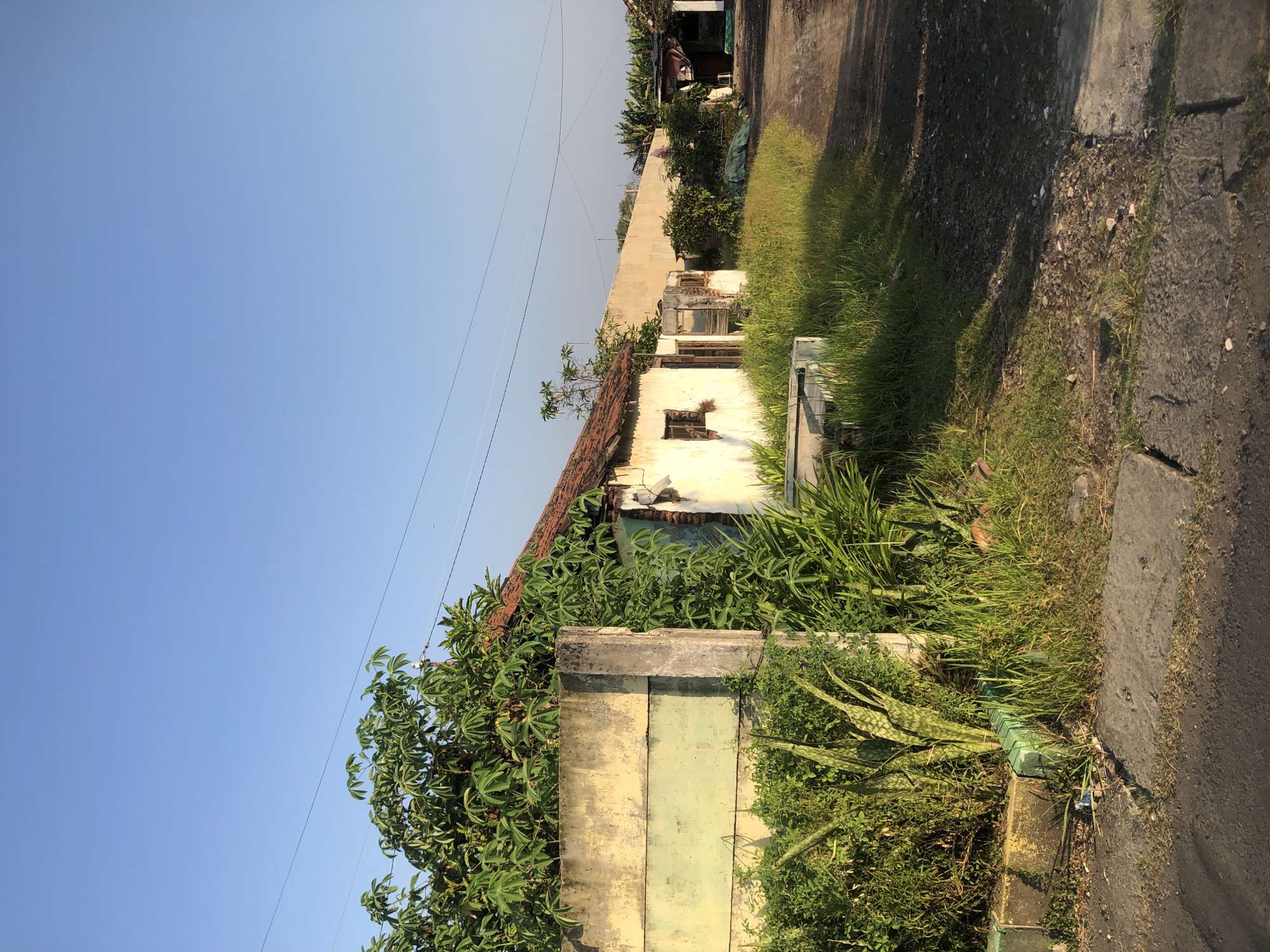 This image depicts a rural roadside scene in Kalitengah, Indonesia, under a clear blue sky. On the left, a weathered, pale yellow and green concrete wall, partially obscured by lush green vegetation, forms a boundary. Adjacent to the wall, a small, dilapidated white building with a terracotta tile roof is visible. The building appears to be abandoned or neglected, with crumbling plaster and visible brickwork. Small, dark-framed windows are present. Overgrown grass and various plants, including snake plants and tall leafy bushes, thrive along the roadside and around the building.
To the right of the building, a dirt and gravel path or road curves into the distance. Along the right side of the path, more vegetation and other structures are partially visible, suggesting a residential area. In the background, a long, light-colored wall stretches across the scene, separating the immediate foreground from what lies beyond. Power lines are strung across the sky, indicating the presence of electricity infrastructure. The lighting suggests it is late afternoon or early morning, with long shadows cast by the sun. No people are present in the image, and no specific actions are being depicted.