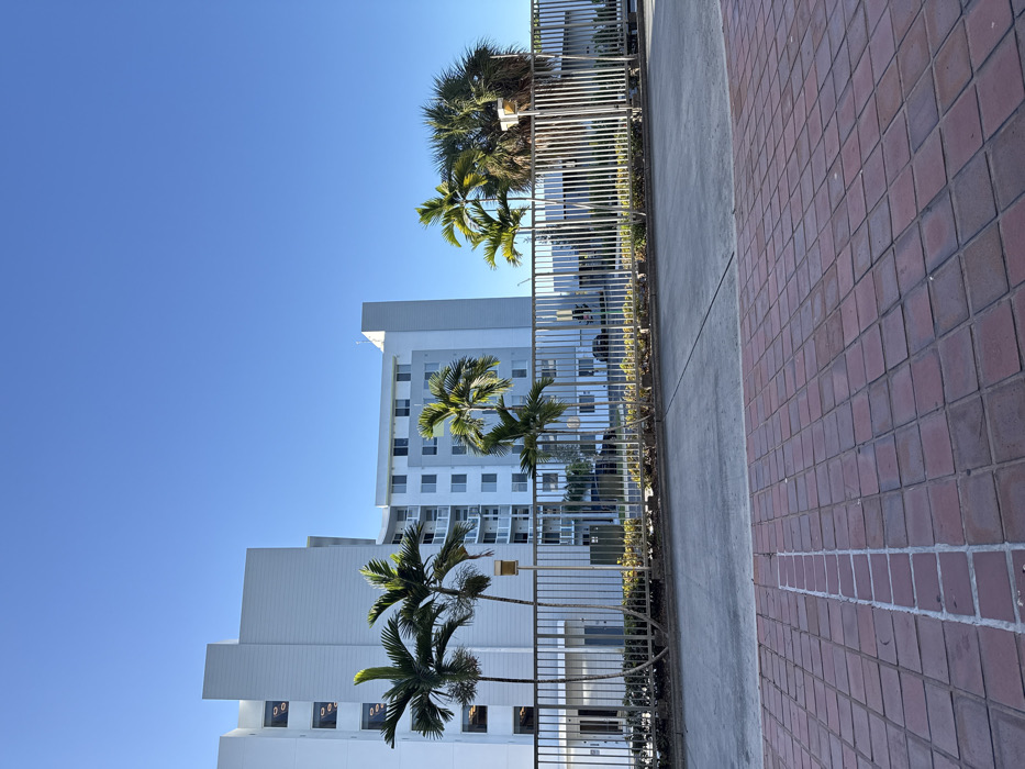 This image displays an exterior daytime scene in Hialeah, United States of America, under a clear, light blue sky. The foreground presents a red-brown brick paver surface. Beyond this lies a section of grey concrete pavement. A light-colored metal fence, composed of vertical bars, spans horizontally across the mid-ground. Behind this barrier, a multi-story building complex with white and light grey facades is visible, featuring numerous windows and several balconies. Multiple palm trees are situated behind the fence; three slender palms are on the left, with denser, more mature palm foliage to the right. Partially obscured dark-colored vehicles are visible parked within the complex area behind the fence. No human subjects are present in the scene.