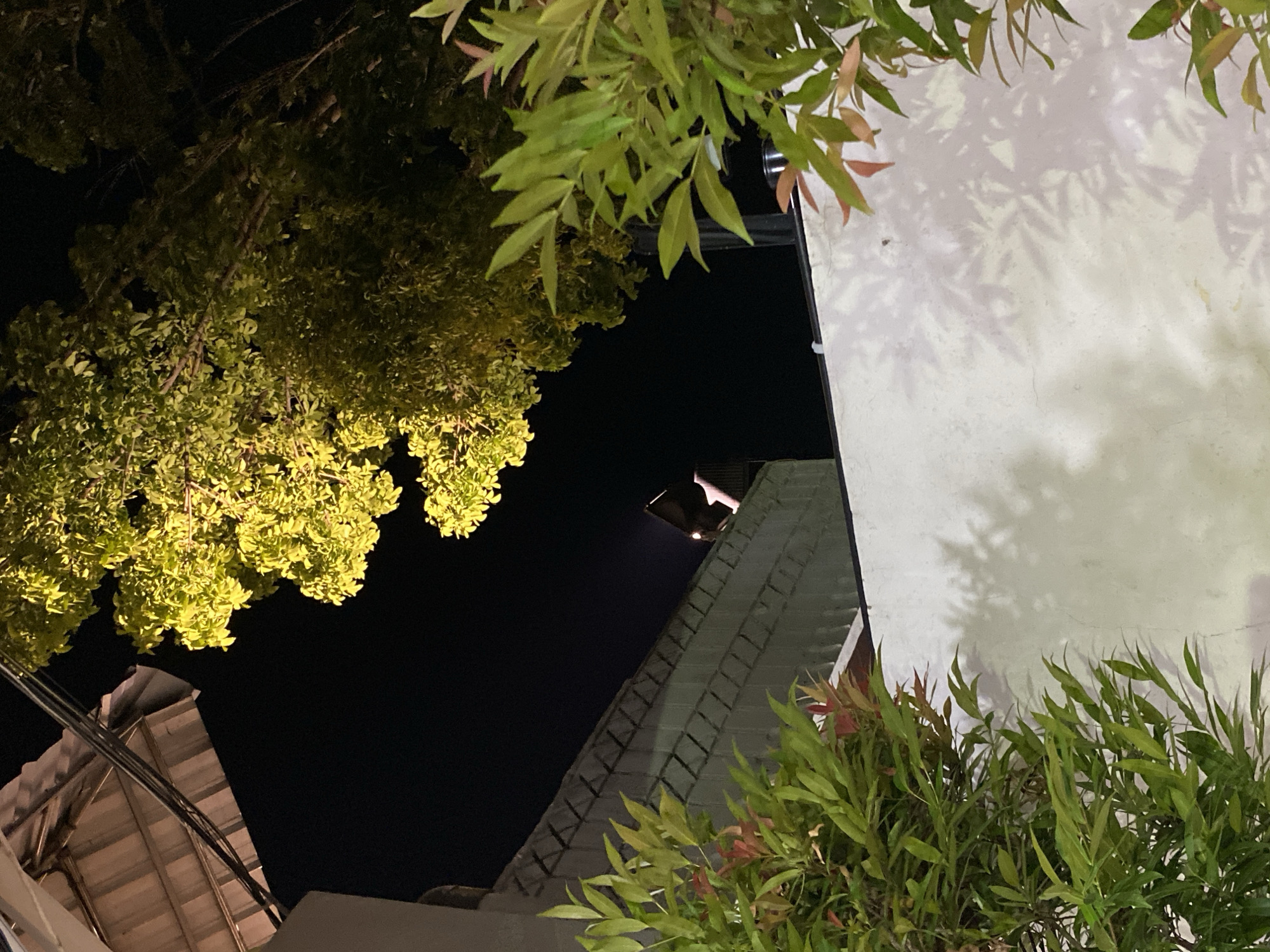 The image shows a nighttime scene with a sloped, dark-colored roof, possibly made of metal or asphalt shingles, illuminated from below by unseen light sources. Above and to the right, a tree with bright green foliage is lit, casting shadows. In the lower right, a white wall displays dappled shadows from the tree's leaves. The location is stated to be Banda Aceh, Indonesia.
