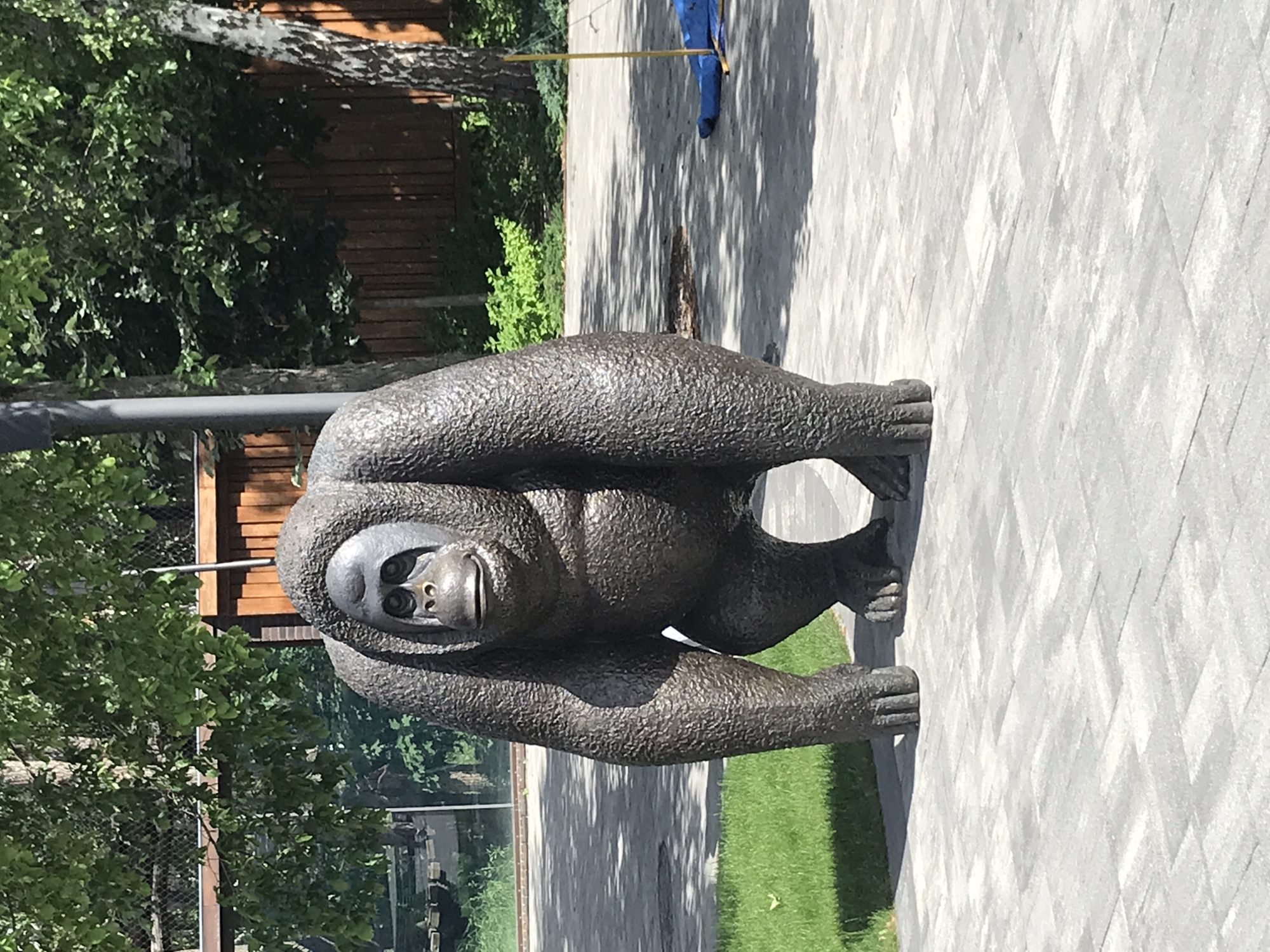 The image depicts a statue of a large, hunched ape, resembling an orangutan, positioned in an outdoor paved area. The statue is made of a dark, textured material, likely bronze or a similar metal, and is detailed with distinct facial features, muscular limbs, and large hands and feet. The ape is crouched with its arms resting on its knees.
The setting appears to be a park or zoo enclosure, with manicured green grass to the left of the statue and a textured pavement made of grey interlocking bricks or tiles underfoot. In the background, there is a wooden fence, lush green trees with dappled sunlight filtering through their leaves, and a glimpse of what might be a wire fence in the upper left quadrant, suggesting a controlled environment. A tall, thin pole with a yellow string attached to it is visible to the right of the statue, with a blue object lying on the ground nearby.
There are no people visible in the image, and no actions are taking place. The overall impression is one of a static display in a semi-naturalistic environment, possibly an exhibit.
Based on external information, this statue is located in the Kharkiv Zoo in Kharkiv, Ukraine.
