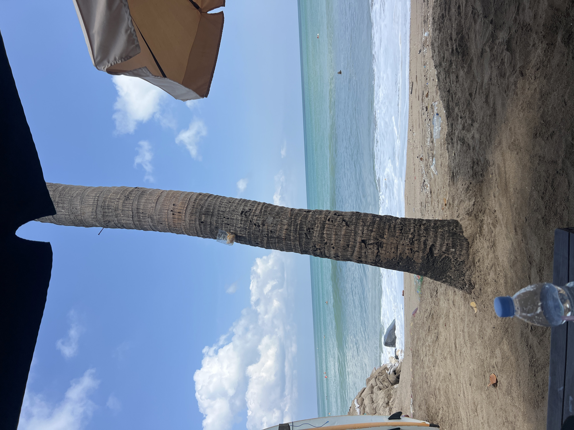 The image depicts a beach scene in Kuta, Indonesia, with a prominent palm tree in the foreground. The ocean is calm with gentle waves breaking on the shore. Several people are visible in the water, some appearing to be swimming or surfing. The beach is sandy, with some debris scattered around, including plastic bottles and wrappers. A surfboard is leaning against the palm tree on the left side of the image. In the upper right corner, a portion of a beach umbrella is visible. The sky is blue with scattered white clouds. In the foreground, a partially filled plastic water bottle with a blue cap rests on a dark surface, likely a table. A clear plastic bag with some contents is tied to the palm tree. The overall impression is a somewhat natural and slightly littered beach setting on a sunny day.
