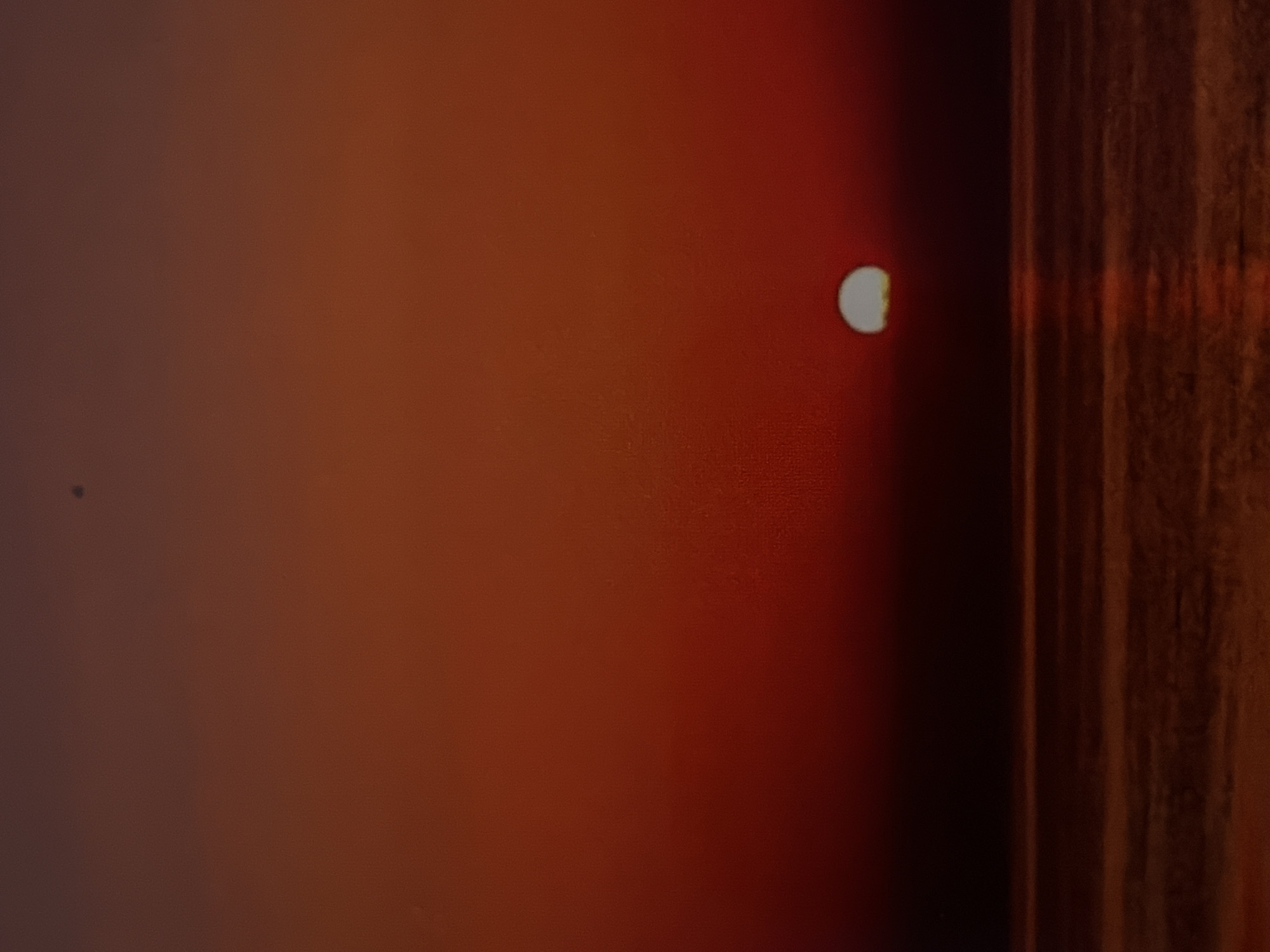 The scene, presented as occurring in Maidstone, United Kingdom, depicts a sunset or sunrise over a large body of water. The sky exhibits a prominent vertical color gradient, transitioning from dark reddish-brown in the upper region to vibrant orange-red and then deep red immediately above the horizon. A distinct, luminous white semi-circular sun is positioned centrally, partially visible above the dark horizon line, with approximately half of its diameter exposed. Two small, dark, indistinct specks are visible in the upper sky: one in the upper left quadrant and another in the upper right. The water's surface is dark reddish-brown, reflecting the sky's hues and showing subtle undulations. A faint, elongated reflection of the sun appears directly below it on the water. No individuals, animals, or structures are identifiable within the frame.