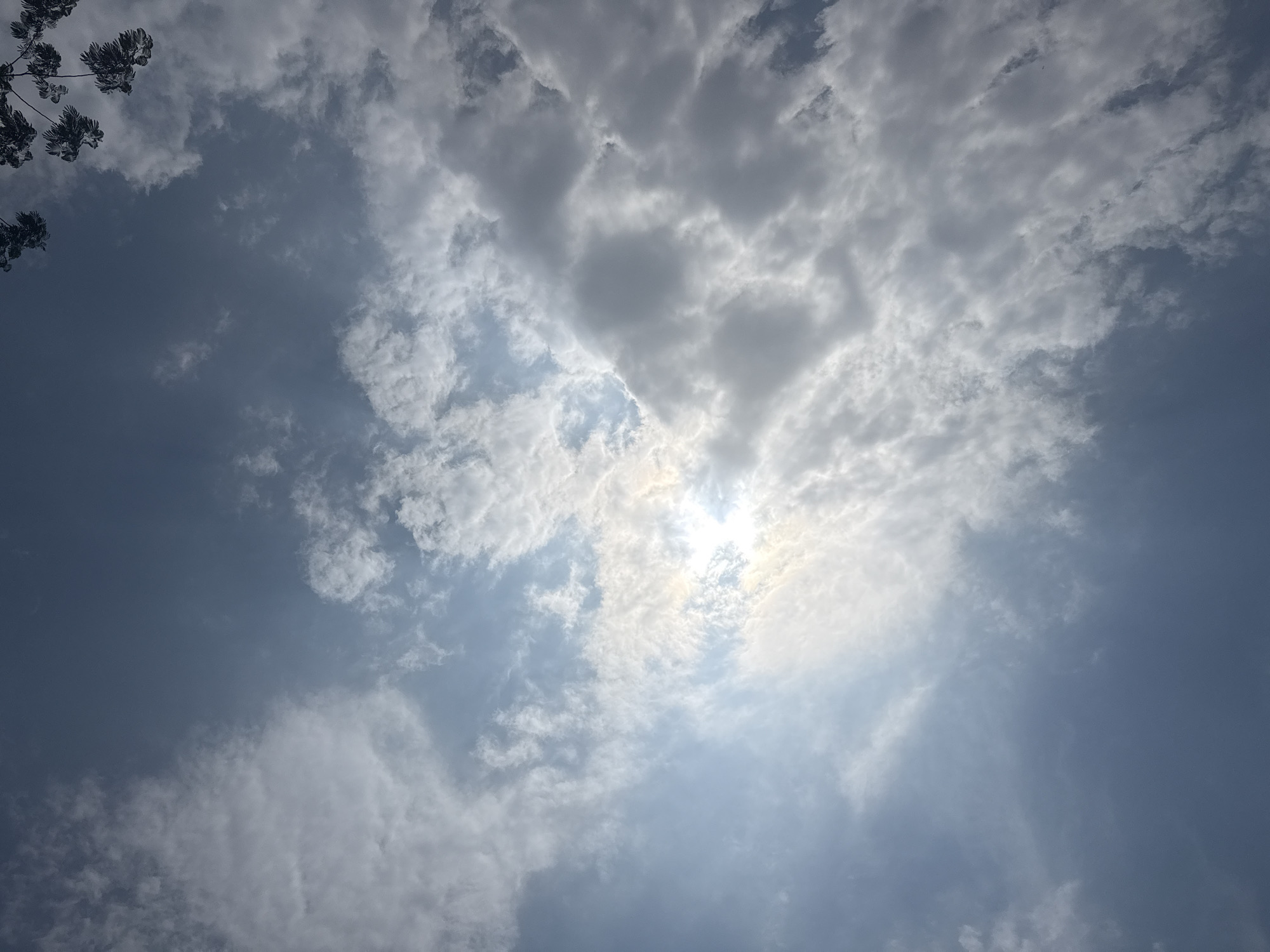 The image displays a vibrant daytime sky over Tres de Mayo, Mexico, characterized by a mix of blue sky and extensive cloud cover. The sun, a brilliant source of light, is prominently visible in the central right portion of the frame, piercing through a bank of clouds and casting a radiant glow. This creates a strong lens flare effect and bright highlights within the surrounding clouds.
The clouds themselves vary in density and form, ranging from light, wispy formations to thicker, grey cumulus clouds that obscure parts of the sky. Some clouds exhibit darker grey tones, suggesting greater thickness or shadow, while others are bright white, illuminated by the direct sunlight. The sky transitions from a lighter, almost ethereal blue near the sun to a deeper, more saturated blue in areas with fewer clouds.
In the upper left corner, dark silhouettes of tree branches with clusters of leaves are visible, extending into the frame. These branches appear dark against the bright sky, suggesting they are backlit by the sun. The scene conveys a sense of dynamic weather, with shifting clouds and periods of bright sunshine. There are no people, objects (other than natural elements), specific events, or visible text in the photograph.