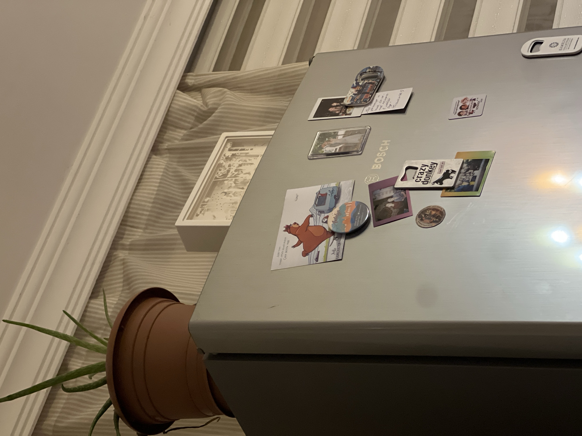 A medium shot captures the top portion of a stainless steel refrigerator, adorned with various magnets. A potted aloe vera plant sits atop the refrigerator, its green leaves reaching upwards. To the right of the plant, a decorative white frame with a cut-out design rests against a vertically striped curtain. The refrigerator door displays several magnets: a cartoon bear on a boat with text that reads "Hello Kamchatka," a small framed photograph of a couple, another small framed photograph of people, a magnet with the text "BOSCH" and a graphic of a bus, a magnet with the text "crazy donkey SANTORINI," a postcard-like magnet featuring a cartoon couple with the text "We Miss You!" and "ROMANIA," and another magnet with a bus graphic and handwritten text. A bottle opener with the text "KAMELYA COLLECTION" is attached to the side of the refrigerator. The overall scene suggests a domestic setting, likely a kitchen. There is no explicit indication of the city of Antalya, Turkey, within the image itself; the description of "Antalya, Turkey" is an interpretation based on contextual information not present in the visual data.