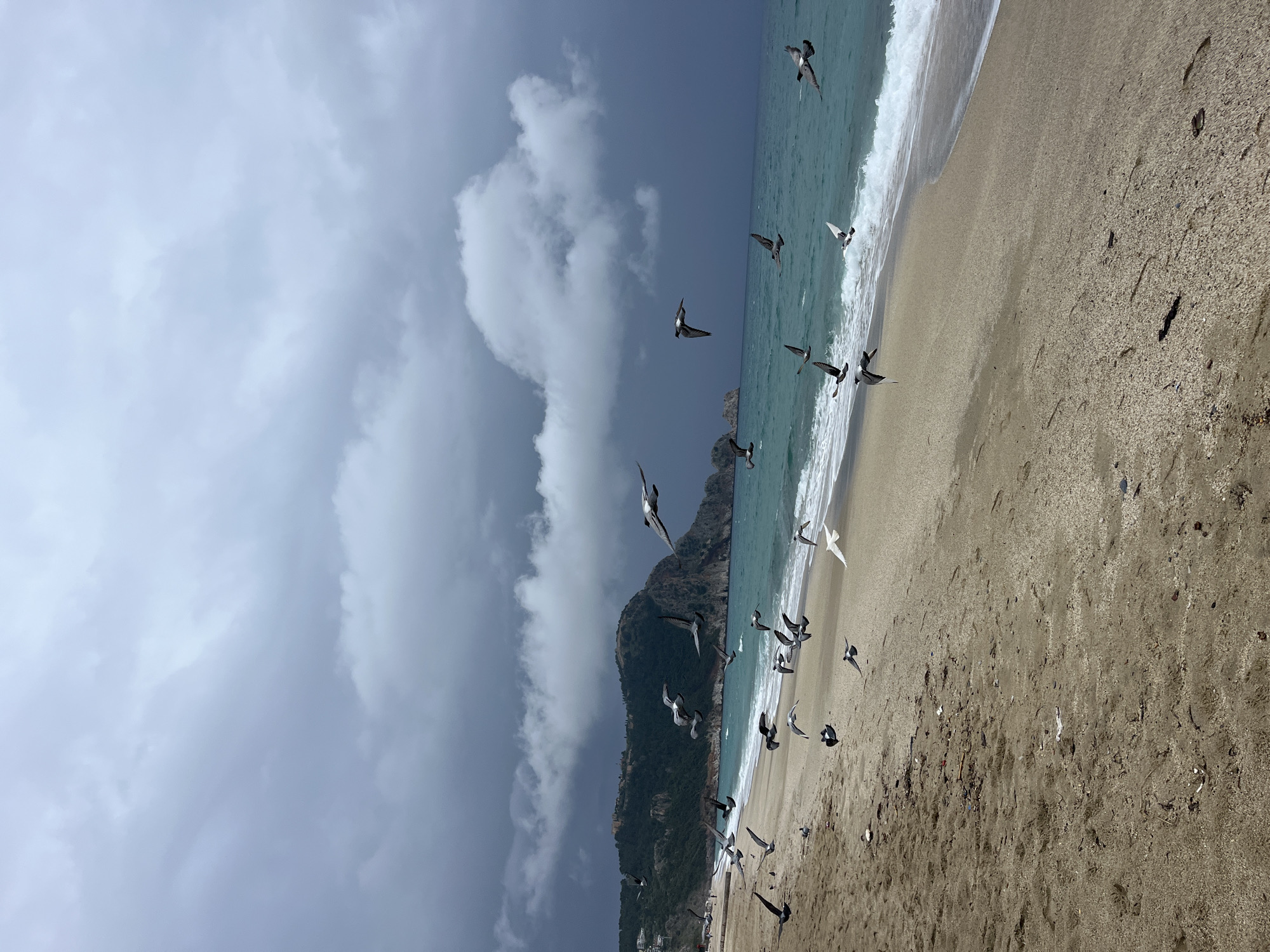 The image captures a beach scene in Alanya, Turkey, on a day with partly cloudy skies. The beach slopes down from the turquoise sea, with gentle waves breaking on the shore. A rugged mountain rises sharply from the coast, covered in vegetation. A flock of birds is in flight along the shoreline, some near the water's edge and others soaring higher. The beach appears slightly littered with debris.