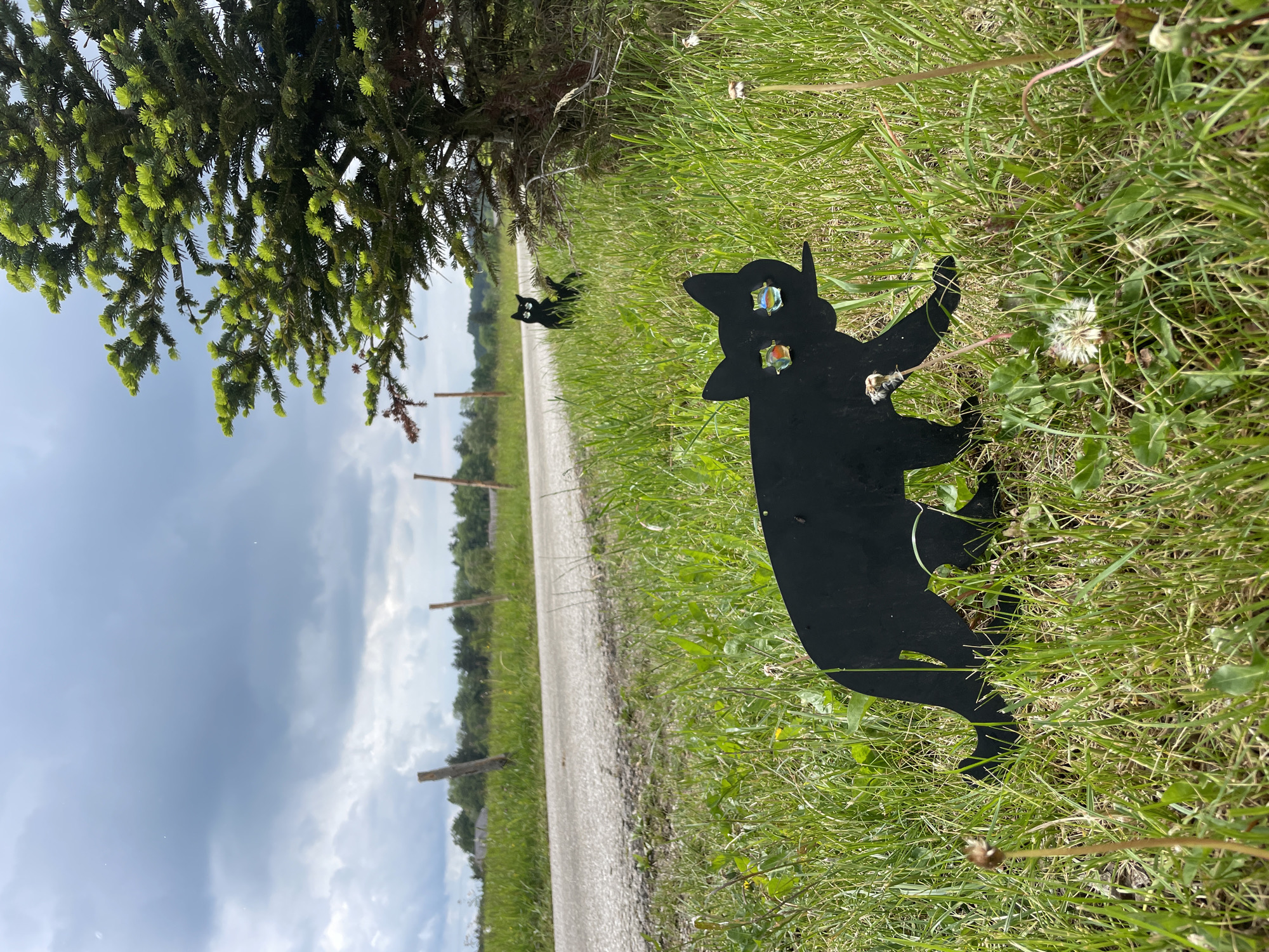 The image depicts a rural scene on a cloudy day. A narrow dirt road stretches into the distance, flanked by wooden posts defining a boundary. The foreground features grass with dandelions. Two black, metal cat silhouettes are placed in the grass, one close to the viewer and another further down the roadside. The cat silhouette in the foreground has jewel-like decorations in place of eyes. A tree stands on the left side of the image, with its branches extending into the scene. The location is undetermined.