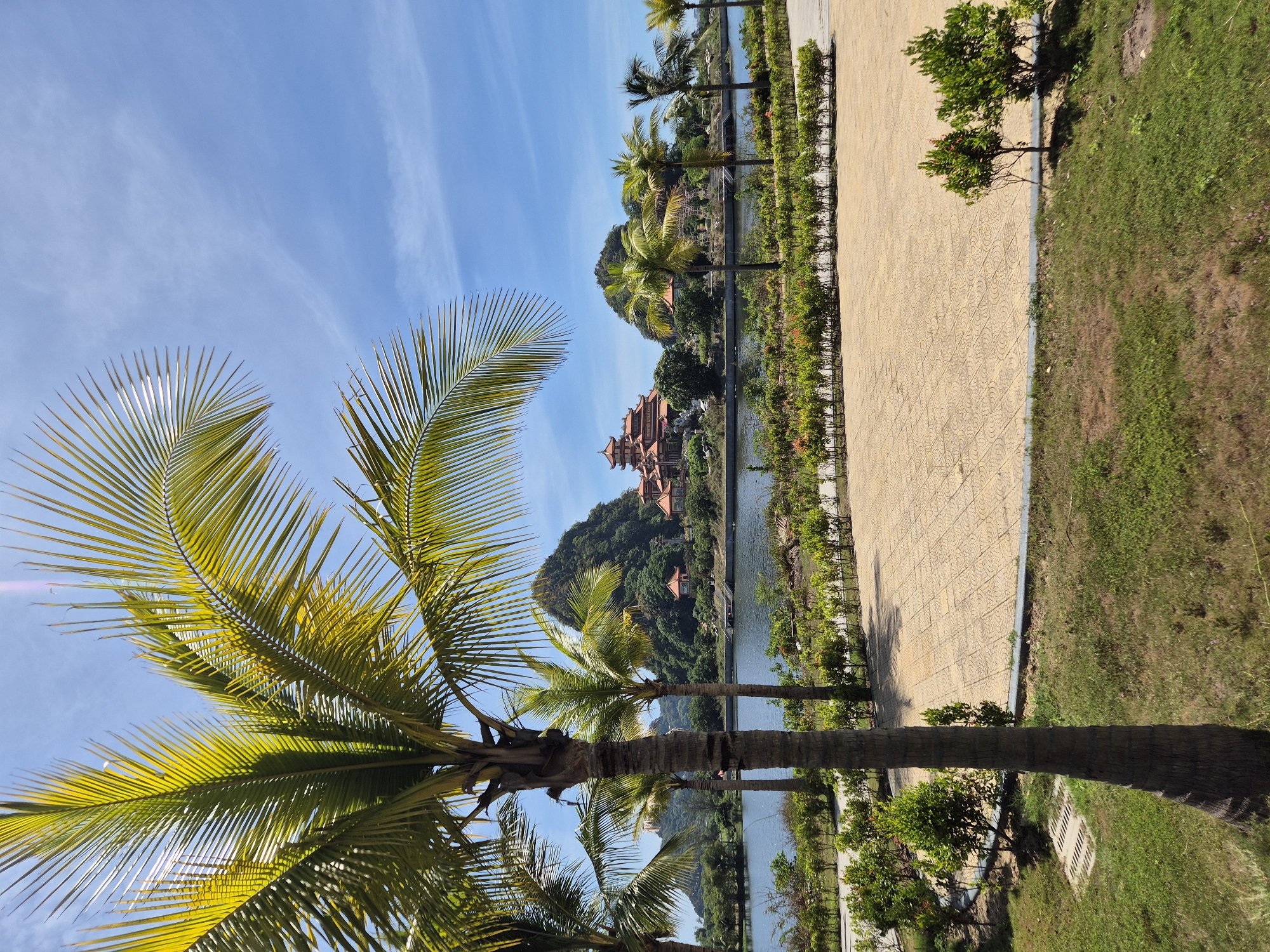 The image depicts a serene landscape featuring a traditional Vietnamese pagoda complex situated across a body of water. In the foreground, a prominent palm tree with lush green fronds stands tall, its trunk textured and robust. Beyond the palm tree, a paved walkway with an intricate pattern is visible, bordered by manicured green bushes. A calm lake or river reflects the blue sky, which is dotted with wispy clouds.
Across the water, the pagoda complex is the focal point, characterized by its distinctive multi-tiered roofs with upturned eaves, painted in vibrant hues of red and orange, reminiscent of traditional East Asian architecture. The complex is nestled amidst verdant hills and tropical foliage. Several other palm trees are scattered throughout the scene, enhancing the tropical ambiance. The overall impression is one of tranquility and cultural richness, suggesting a location of religious significance or a tourist destination that embraces natural beauty and architectural heritage. This scene is likely located in the vicinity of Marble Mountains (Ngũ Hành Sơn) in Đà Nẵng, Vietnam, known for its numerous caves, tunnels, pagodas, and its dramatic limestone karsts.
