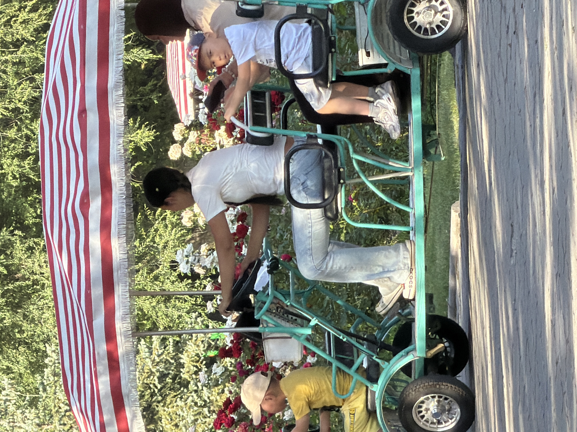 In an outdoor setting, possibly a park or a recreational area, a family is enjoying a ride on a multi-person surrey or pedal car. The vehicle is painted a bright teal color and has a canopy with red and white stripes.
There are at least three people visible. In the front, a child wearing a yellow t-shirt and a light-colored baseball cap is seated. Behind this child, a woman in a white t-shirt and light blue jeans is pedaling and steering. She is holding onto the handlebars and appears focused on driving. Further back, another child, wearing a white t-shirt and a patriotic-themed baseball cap, is also seated in the vehicle. The very top of the image shows the head of a fourth person, possibly an adult, with dark hair.
The surrey is adorned with red and white flowers, adding to the festive atmosphere. The ground appears to be a paved pathway with some grass and trees visible in the background, suggesting a sunny day with natural light casting shadows. The overall mood seems relaxed and enjoyable, indicative of a family outing.
There is some visible text on the shoes of the woman in the middle, appearing to say "CROCS". The American flag-inspired canopy is a prominent visual element.