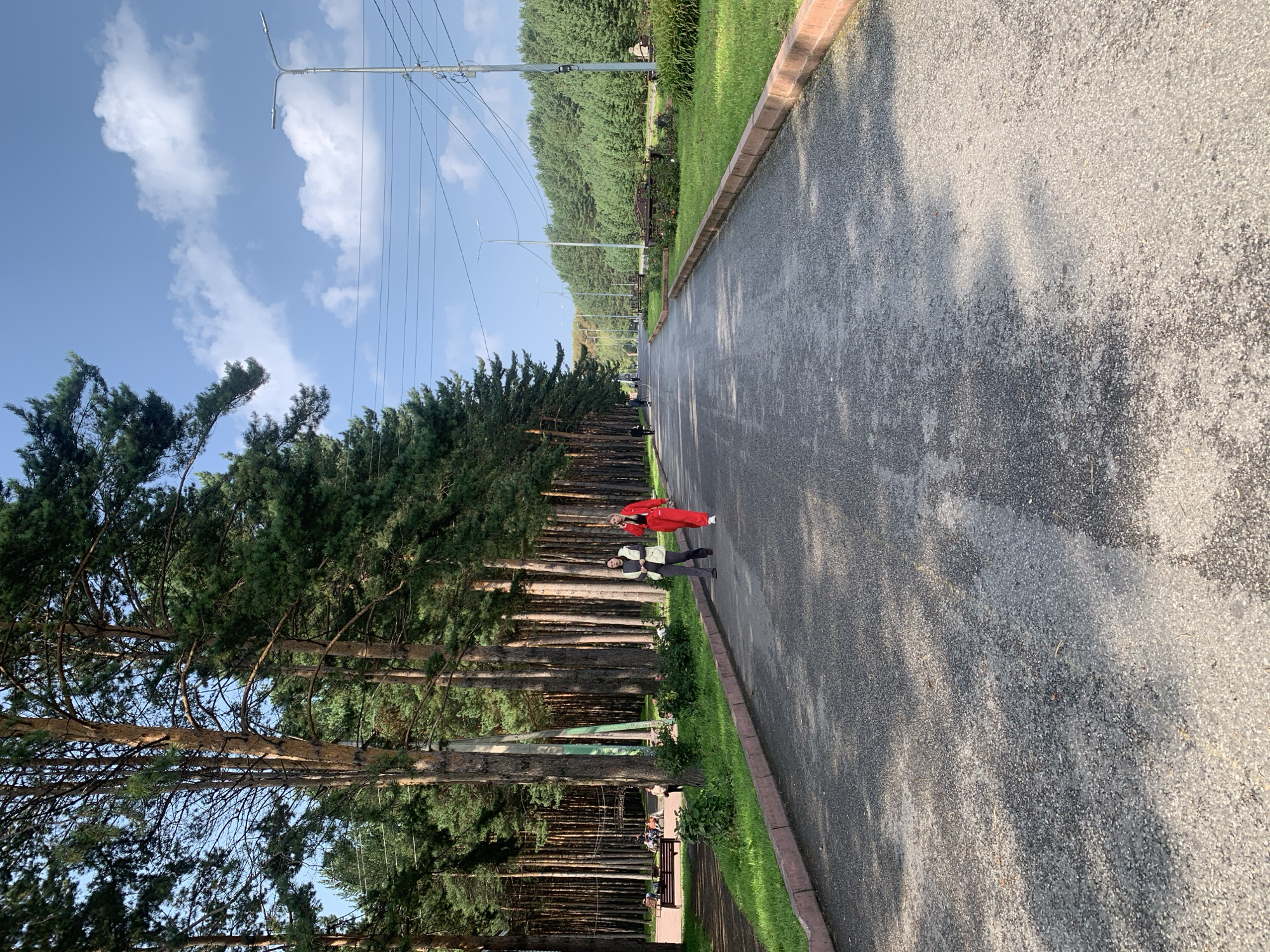 The image depicts a paved pathway in a park-like setting, with tall pine trees lining the left side. Two individuals are walking on the pathway, one wearing a red outfit and the other in darker attire. Several people are seated on benches on the left side of the path, near the trees. The pathway extends into the distance, flanked by grass and more trees on the right. Overhead power lines and streetlights are visible along the right side of the pathway. The sky is blue with scattered clouds, and sunlight casts shadows on the pathway. This scene is consistent with the appearance of the pathway leading to the "Zolotaya Shakhterka" park in Prokopyevsk, Russia, a popular recreational area known for its pine forest.