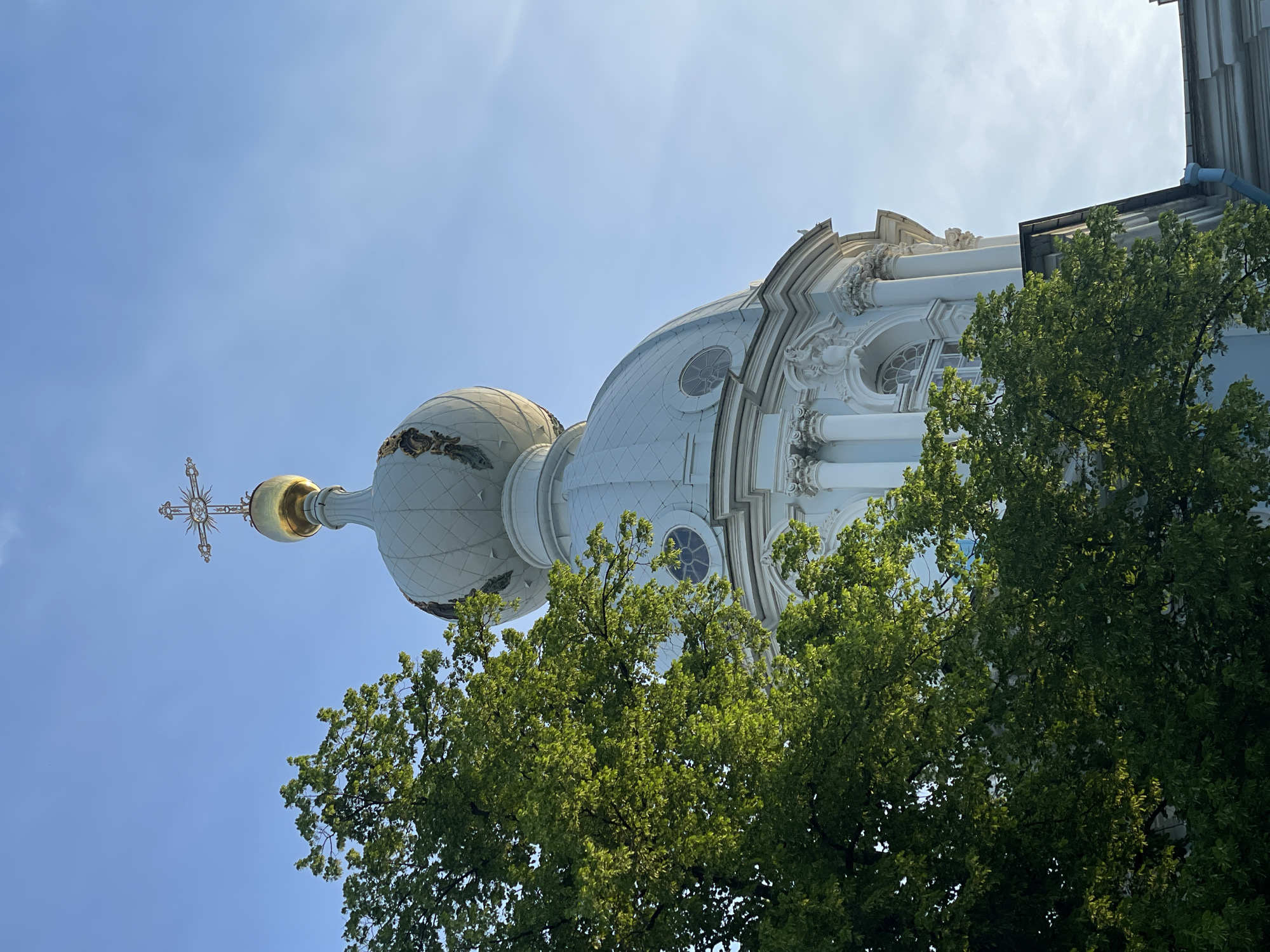 The image captures an upward view of the upper sections of the St. Nicholas Naval Cathedral in St. Petersburg, Russia, partially framed by dense green foliage. The cathedral features a large, light-colored dome with several circular oculus windows, surmounted by an elaborate, lighter-toned onion-shaped cupola. This cupola transitions into a gilded spherical element, which is topped by an ornate, gilded Orthodox cross. The cross exhibits a central circular motif with radiating lines, resembling a sun, and intricate scrollwork on its arms. The visible architectural details of the cathedral include white fluted columns with ornate capitals, and decorative Baroque sculptural elements such as volutes and swags. A substantial portion of a deciduous tree, with vibrant green leaves, occupies the left side and foreground, obscuring the lower and mid-sections of the building. The scene is illuminated by bright sunlight, casting highlights on the dome and cross while backlighting the tree foliage. The sky is clear and light blue, with some subtle atmospheric haze visible towards the upper right. No individuals or animals are present in the image.