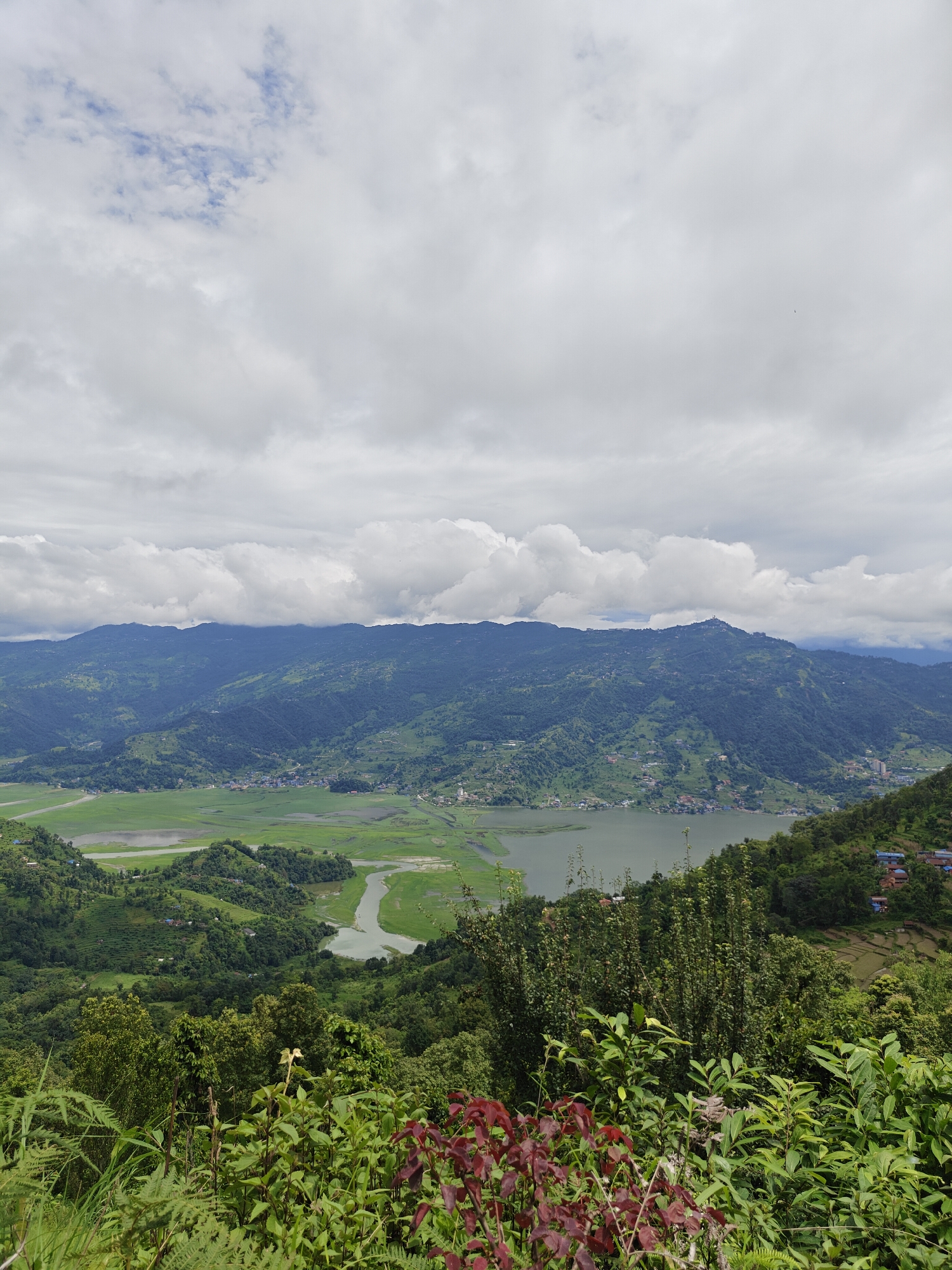 The image captures a panoramic vista of Pokhara, Nepal, from an elevated viewpoint. In the foreground, lush green vegetation, including ferns and shrubs with reddish-brown leaves, creates a natural frame. Beyond this, the landscape unfolds to reveal the tranquil waters of a lake, reflecting the overcast sky. The lake is bordered by expansive green fields, likely rice paddies, which are interspersed with a network of waterways. In the middle ground, rolling hills covered in dense green foliage are dotted with small settlements and terraced fields, indicating agricultural activity. A town or village is visible along the shores of the lake and nestled within the hills. The background is dominated by a range of majestic mountains, their peaks partially obscured by a thick layer of clouds. The overall scene depicts a serene and verdant landscape, characteristic of the Pokhara Valley. The sky is filled with a mix of light and dark gray clouds, with patches of blue sky visible in some areas. The lighting is diffused, suggesting it is daytime, possibly late morning or early afternoon. There are no visible people or animals in the frame.