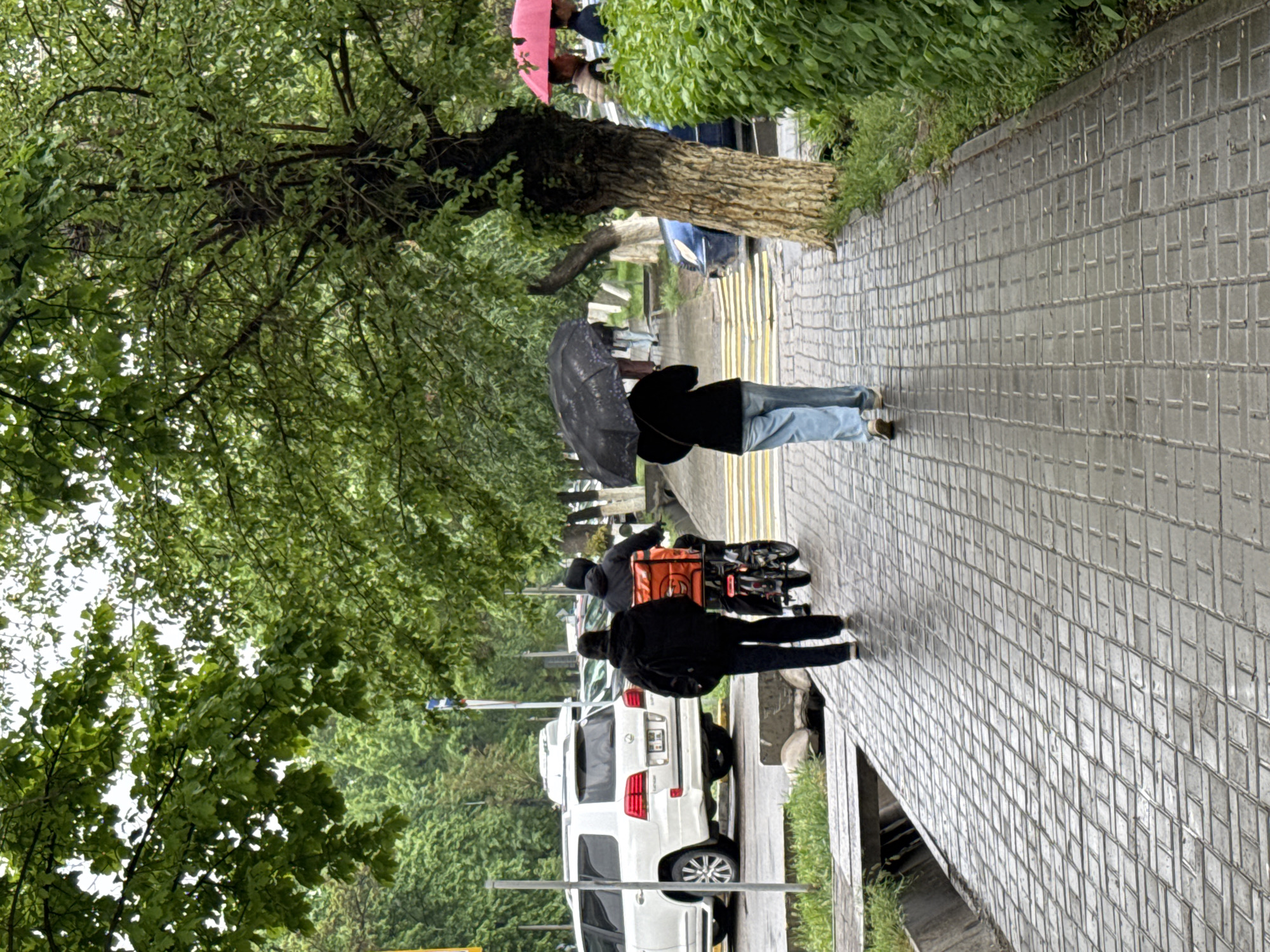 The image captures an overcast daytime street scene in Bishkek City, Kyrgyzstan, strongly suggesting recent or ongoing rain, as multiple individuals are seen with umbrellas. The perspective is along a paved sidewalk, looking down a street lined with mature green trees.
In the foreground, a person walks away from the camera, holding a black umbrella over their head. They are dressed in a dark jacket and light blue jeans. The sidewalk is constructed from rectangular grey paving blocks arranged in an intricate, interlocking pattern.
Further ahead on the sidewalk, another person in dark attire is pushing what appears to be a bicycle or scooter, which has a large, bright orange delivery box mounted on the back. Adjacent to the sidewalk, several cars are parked, including a prominent white SUV. Its license plate is visible but too blurry to decipher the specific Cyrillic characters and numbers.
In the background, nestled under the dense canopy of a large tree with a rugged trunk, another individual is seen holding a vibrant pink umbrella. Other figures are indistinctly visible further down the street. The trees feature lush green foliage, indicating a verdant urban setting. The pavement appears damp, reinforcing the rainy weather conditions. Faint yellow road markings are discernible on the street beside the parked vehicles.