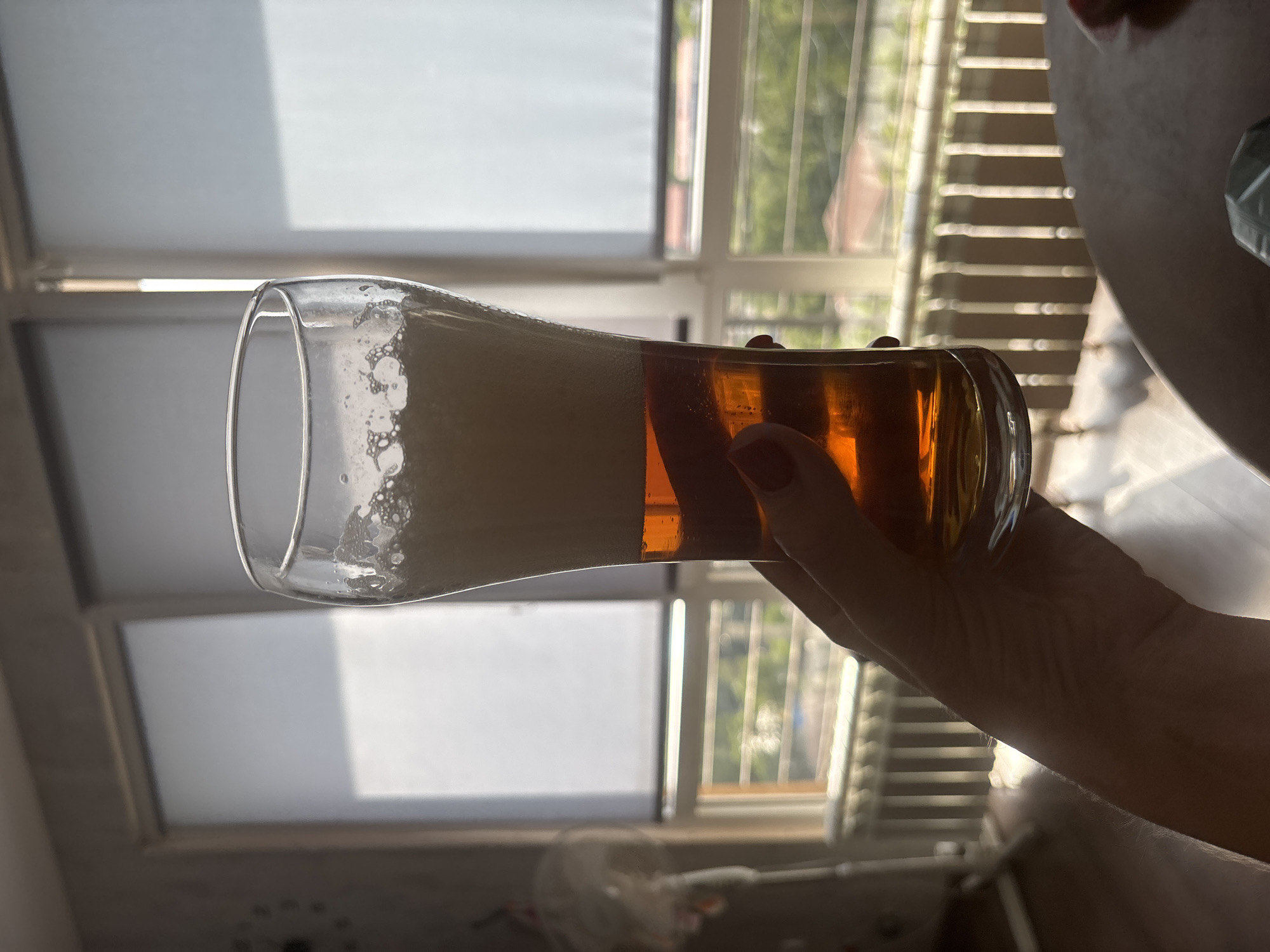 A hand holds a tall glass filled with beer, with a frothy head and amber liquid, in front of a window with vertical blinds that are partially open. Through the window, a radiator and a sunlit exterior scene with trees and buildings are visible. A fan is also partially visible on the left side of the image. The setting appears to be an indoor residential area in Sochi, Russia, with natural light streaming in.