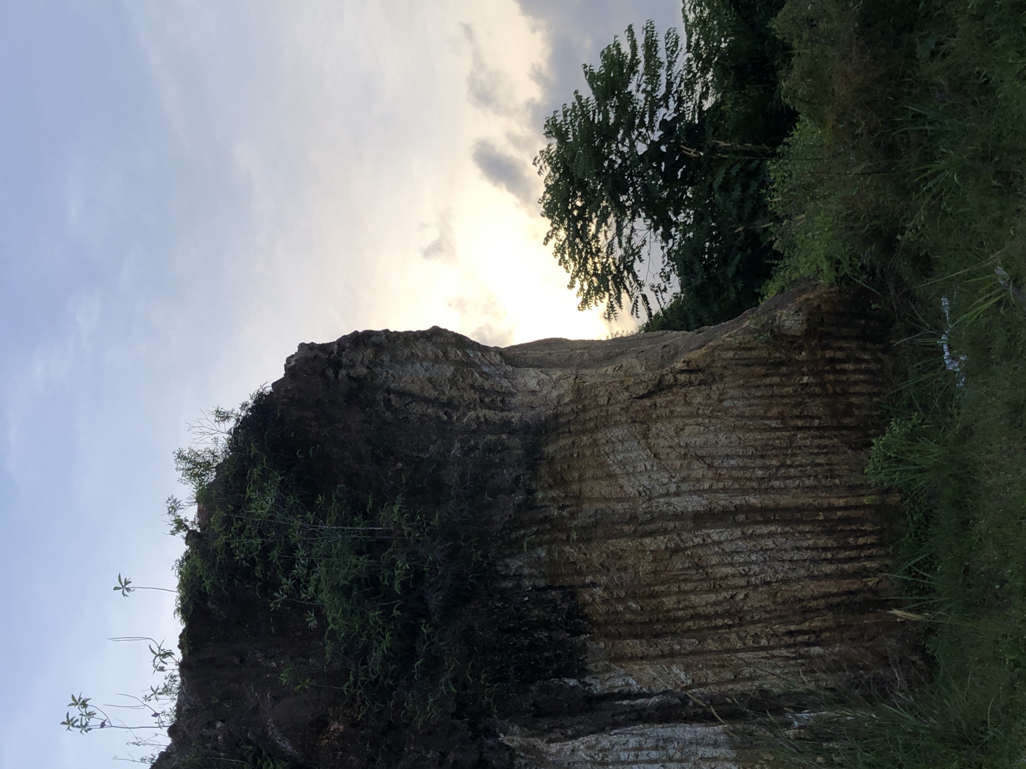 This image captures a layered rock formation at Kathaluwa, Sri Lanka, bathed in the soft light of early evening or late afternoon. The sky is partly cloudy, with a bright glow suggesting the sun is low on the horizon, casting subtle shadows that highlight the striations in the rock.
The rock face is rugged and textured, showing distinct horizontal layers that give it a sedimentary appearance. Vegetation, primarily green foliage and small plants, clings to the upper edges and crevices of the rock, adding touches of life to the geological structure. In the background, a dense cluster of trees stands out against the sky, their leaves catching the diffused light. The overall scene evokes a sense of natural beauty and geological history, with the soft lighting creating a tranquil and slightly dramatic atmosphere. There are no people or visible text in the image.
