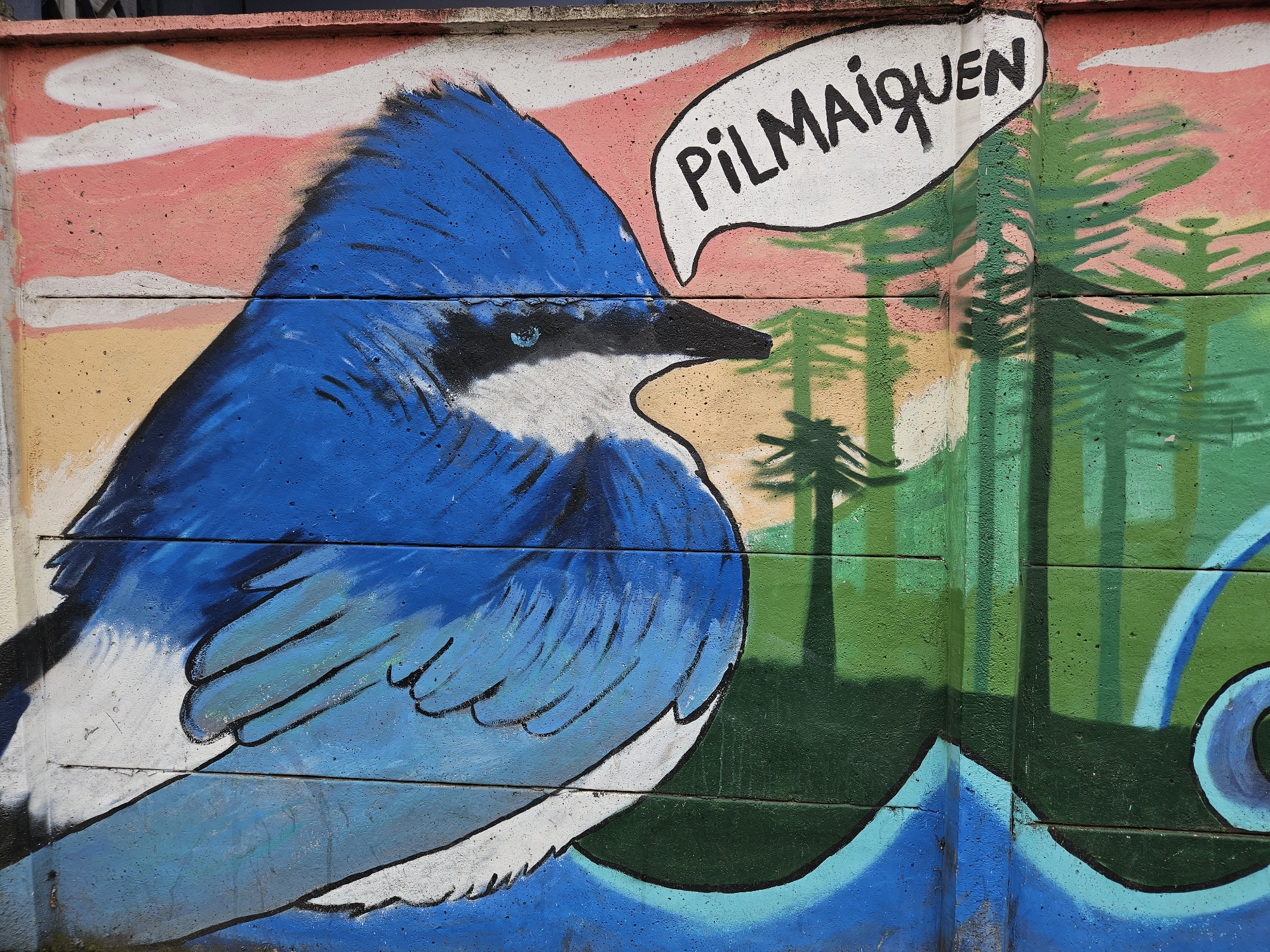 This is a mural on a concrete wall in Osorno, Chile. The mural depicts a blue bird with a white chest and black markings. The bird is facing right and has a white speech bubble above it with the word "Pilmaiquen" written in black. The background includes a pink and white sky, a yellow-toned land mass, and green pine trees. At the bottom of the mural are blue waves.