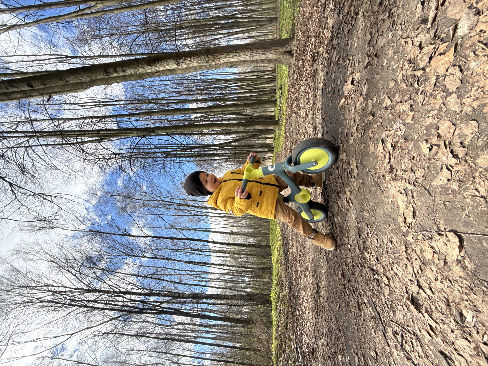 A child, wearing a yellow jacket, brown pants, and a black beanie, is standing on a brown and green scooter in a park-like environment. The ground is covered with leaves. Behind the child are many trees with bare branches reaching up to the sky, where blue sky is visible between the branches. This scene is located in what may be the city of Rusanovo, Russia.